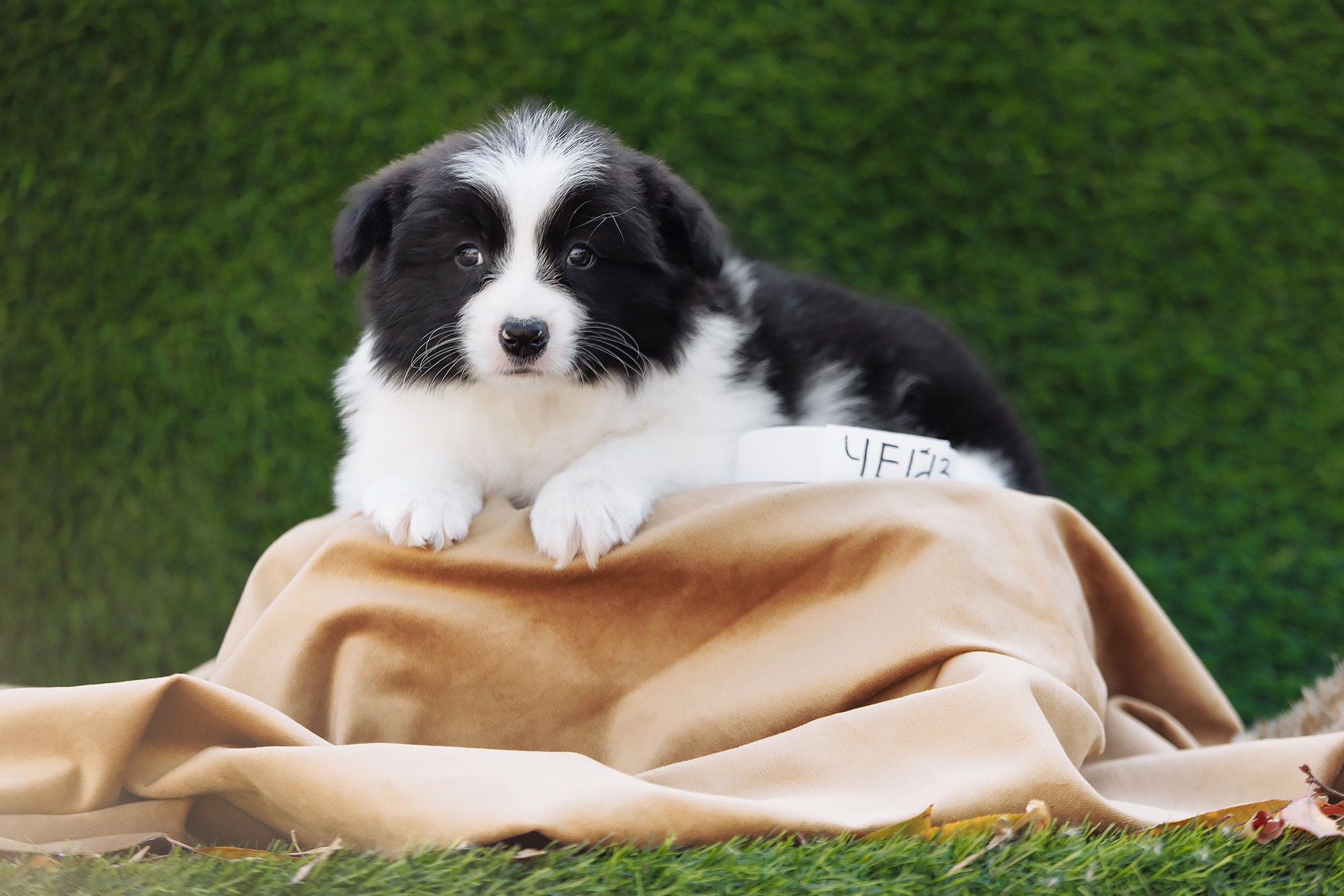 Новый лист. О нас