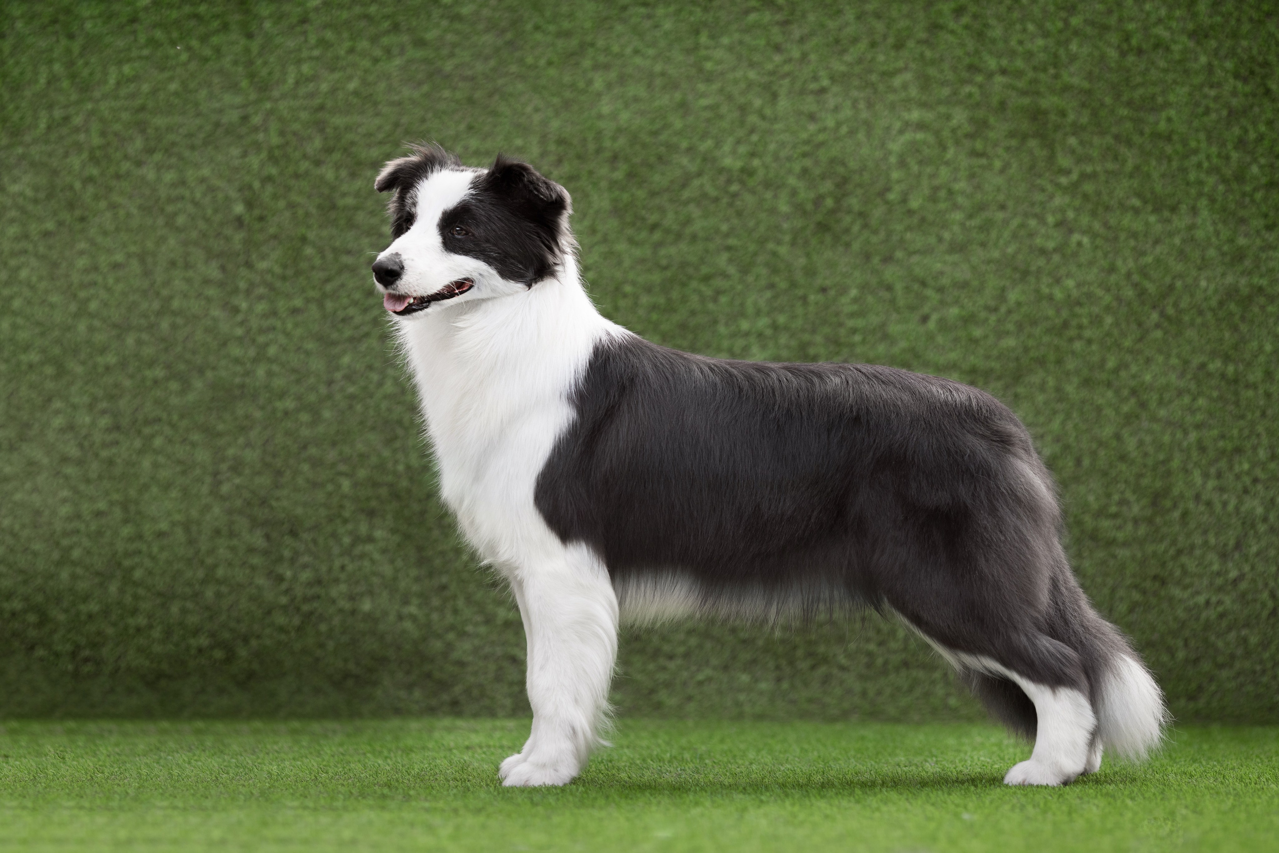 Роскошь в ростошах. О нас