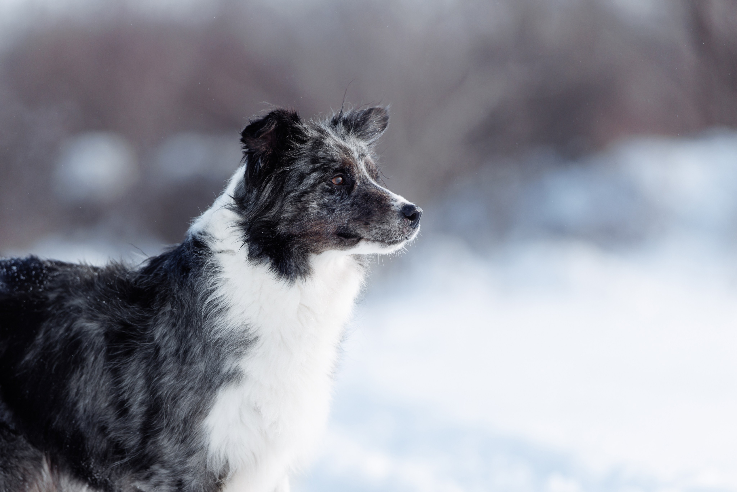 Яркий январь. О нас