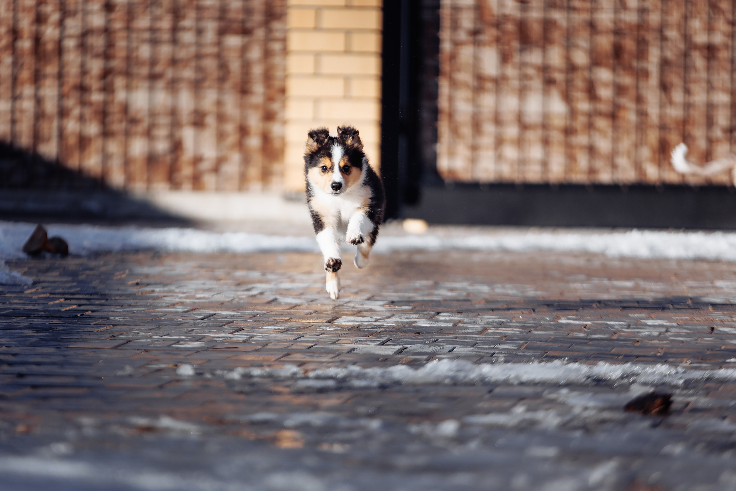 Пока таяло. О нас