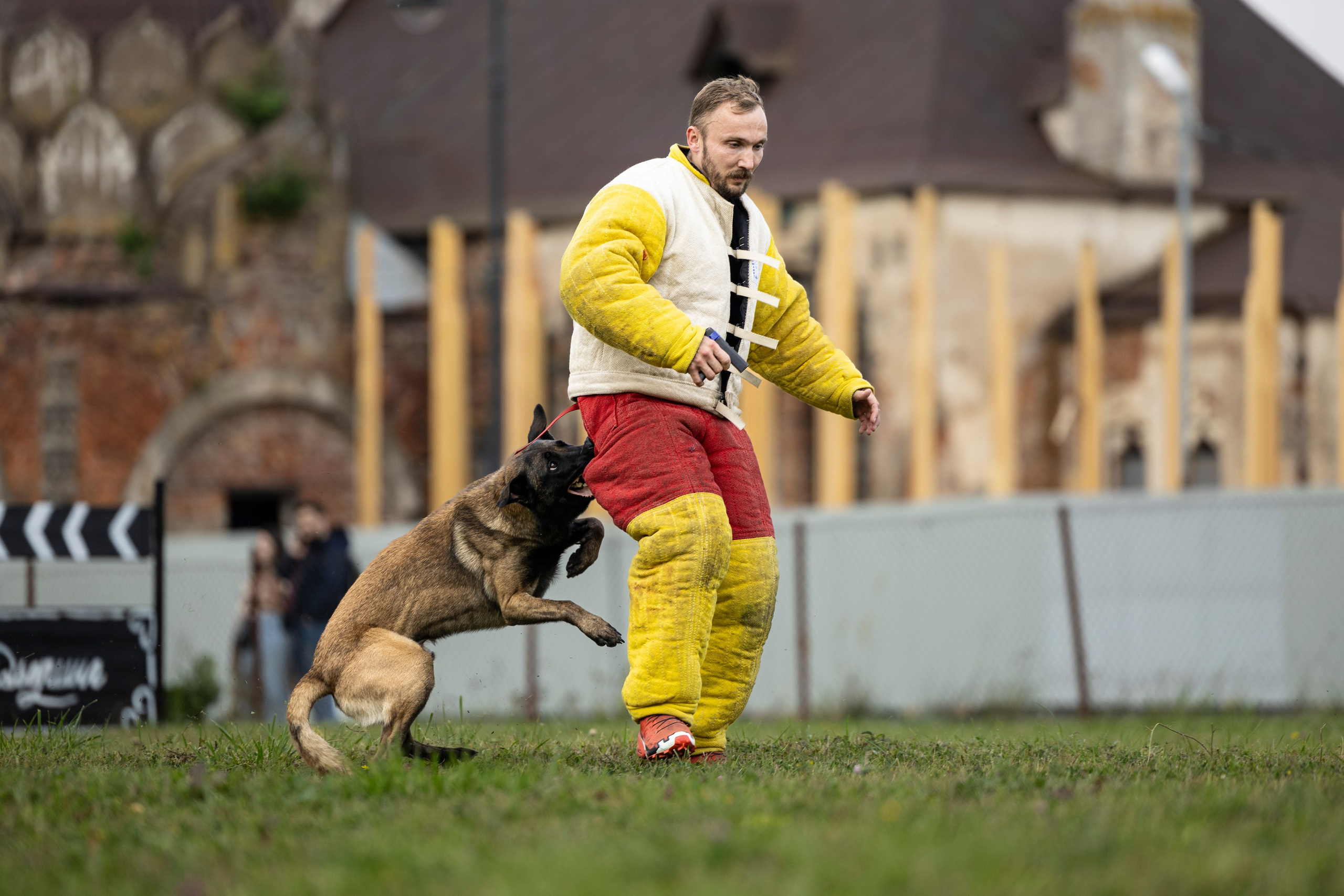 Испытания по Мондьорингу г. Пушкин. Фотограф-анималист Анна Маринич