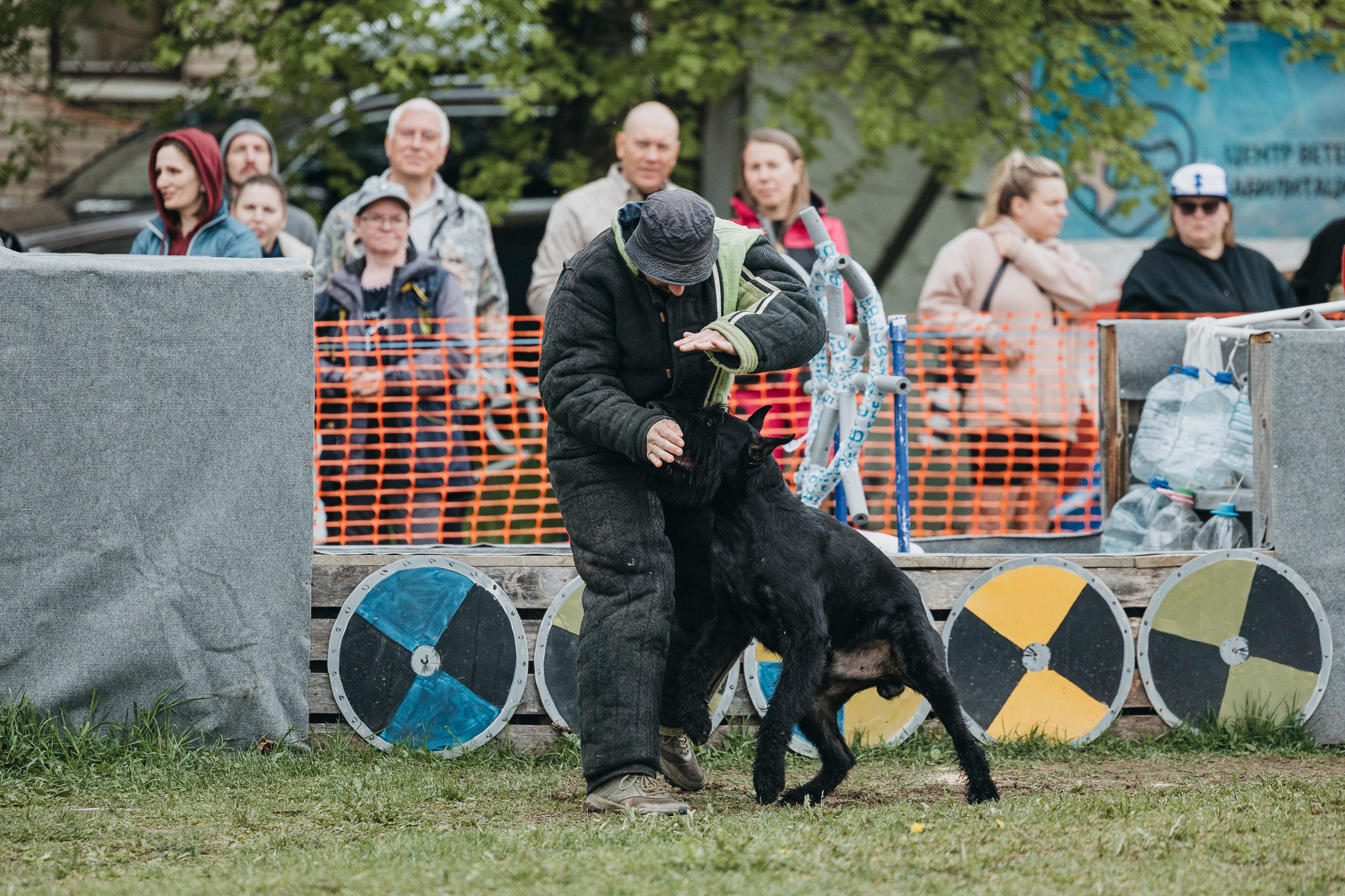 26.05.25 г. Пушкин квалификационные соревнования. Фотограф-анималист Анна Маринич