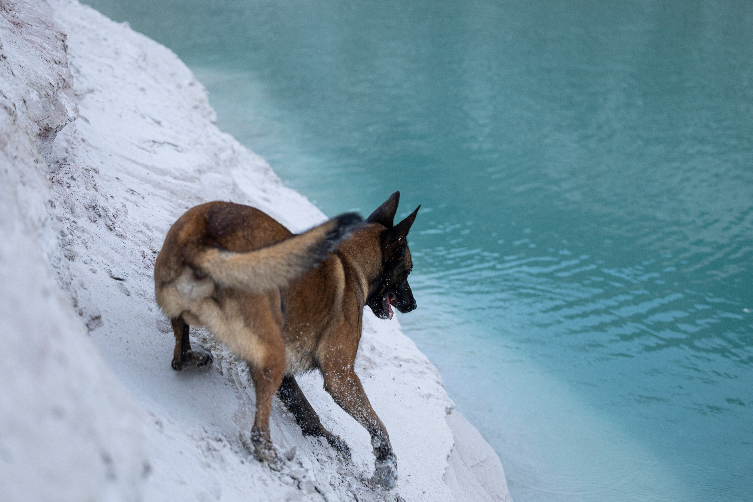 Лужские Мальдивы. Фотограф-анималист Анна Маринич