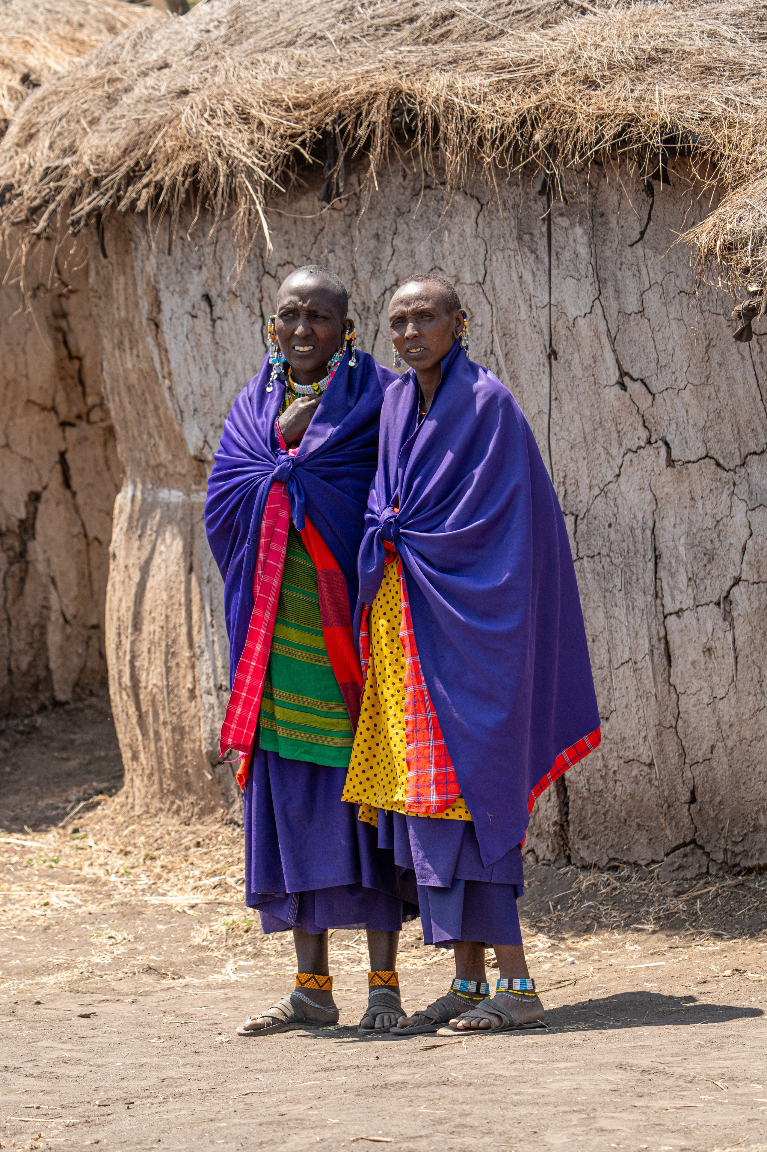 Танзания, сафари, 2025. Творческие сьемки
