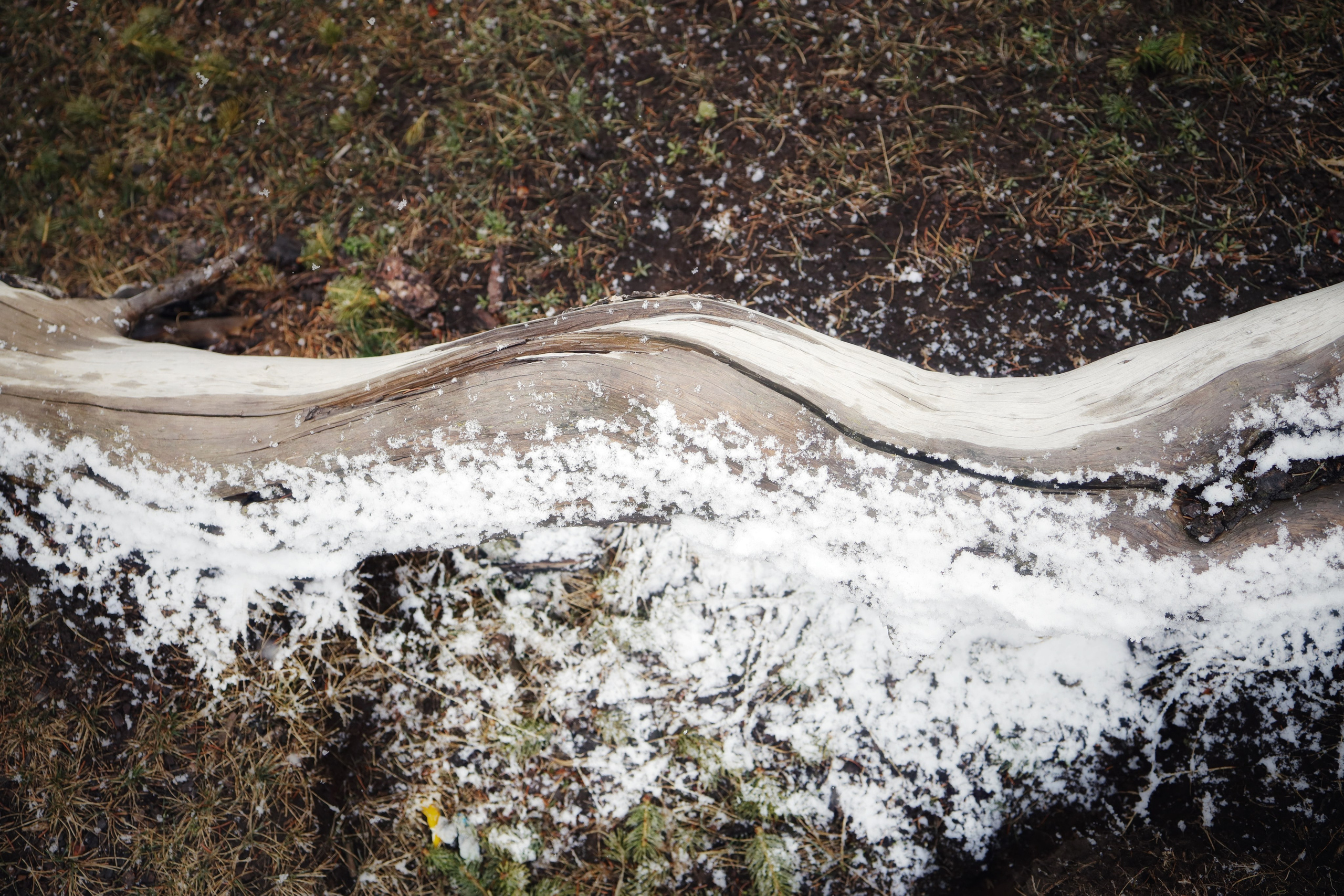 Around Issyk-Kul / Spring, Summer, Fall, Winter… and Spring. POLINA MÔMOT