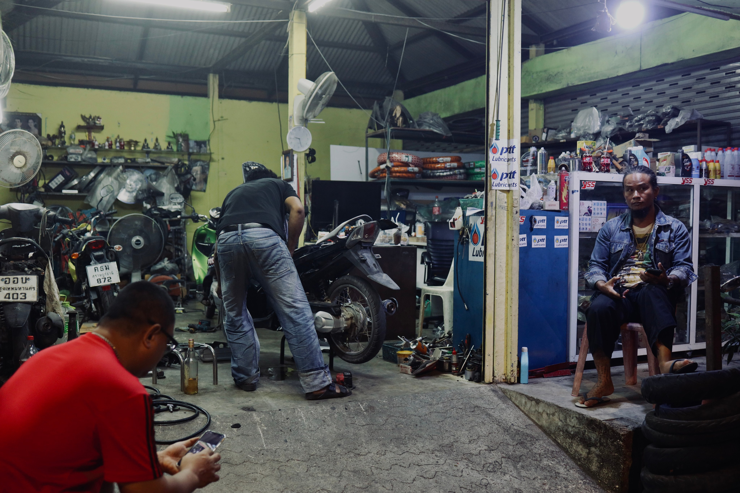 Night inhabitants of Samui Island / Thailand 2024. POLINA MÔMOT