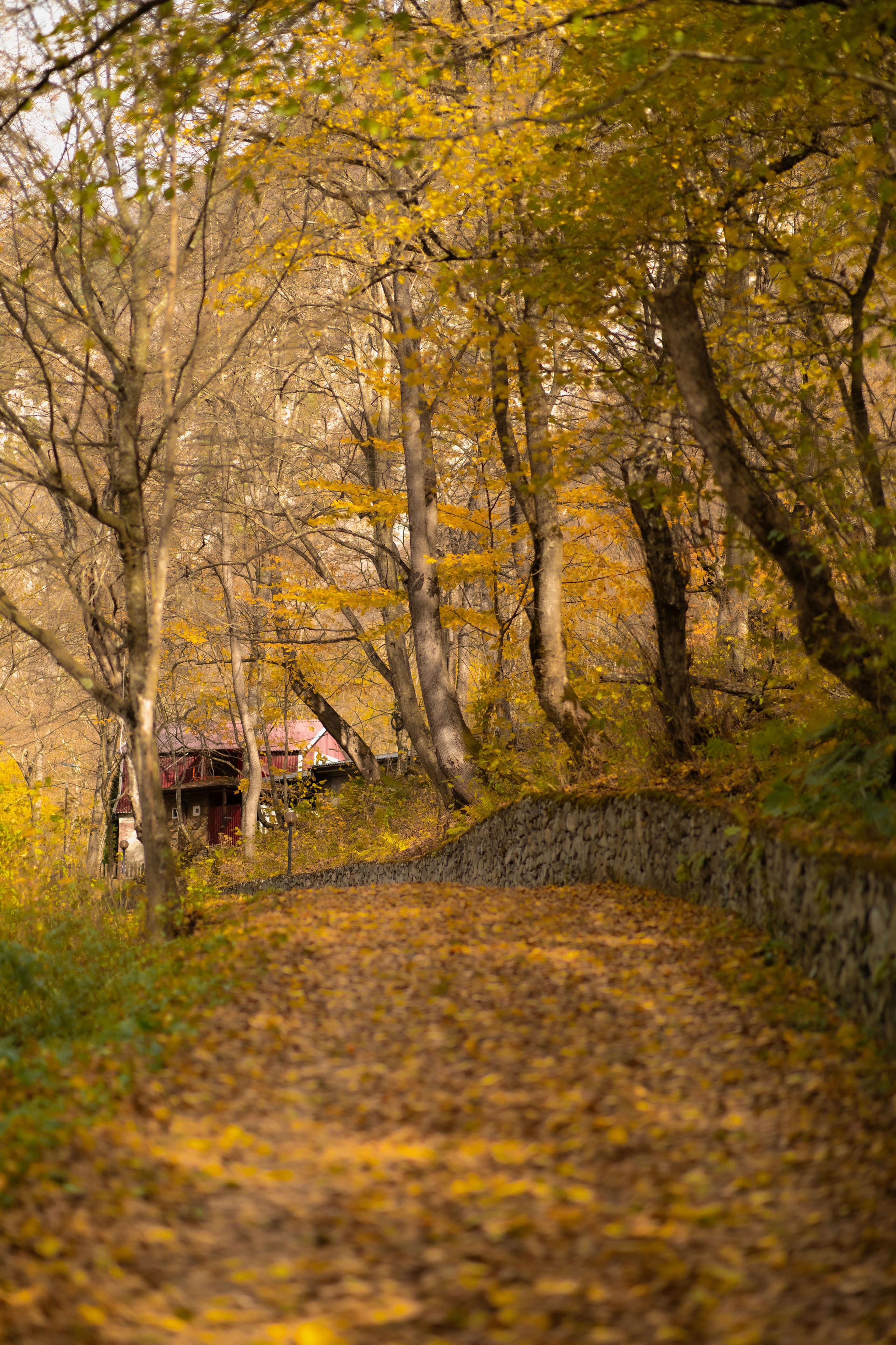 Индивидуальная фотосессия в Фиагдоне. Фотограф во Владикавказе Юрий Геворгизов