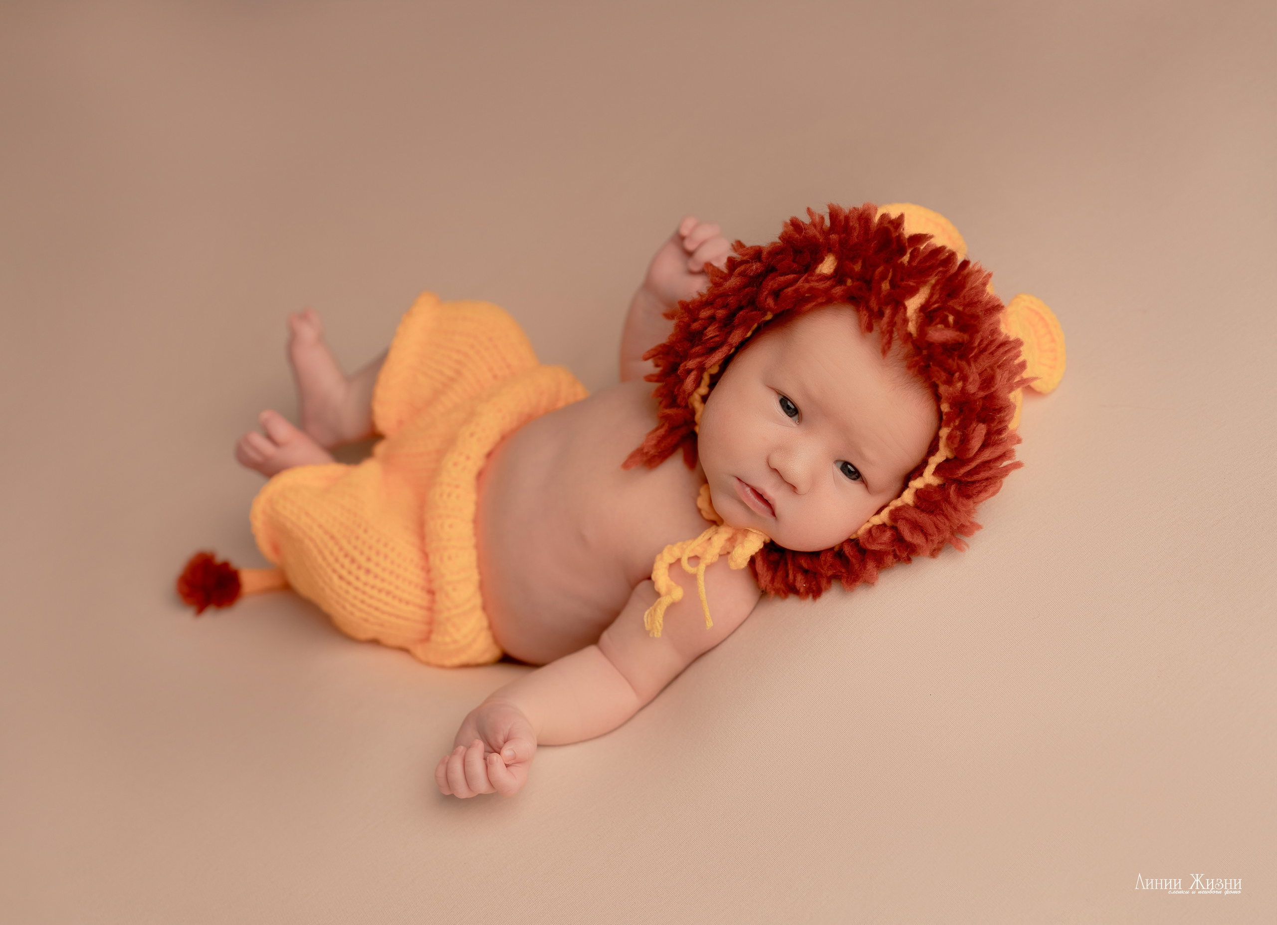 Тимофей 19 дней. Фотограф новорожденных в Нижнем Новгороде Сергеева Оксана