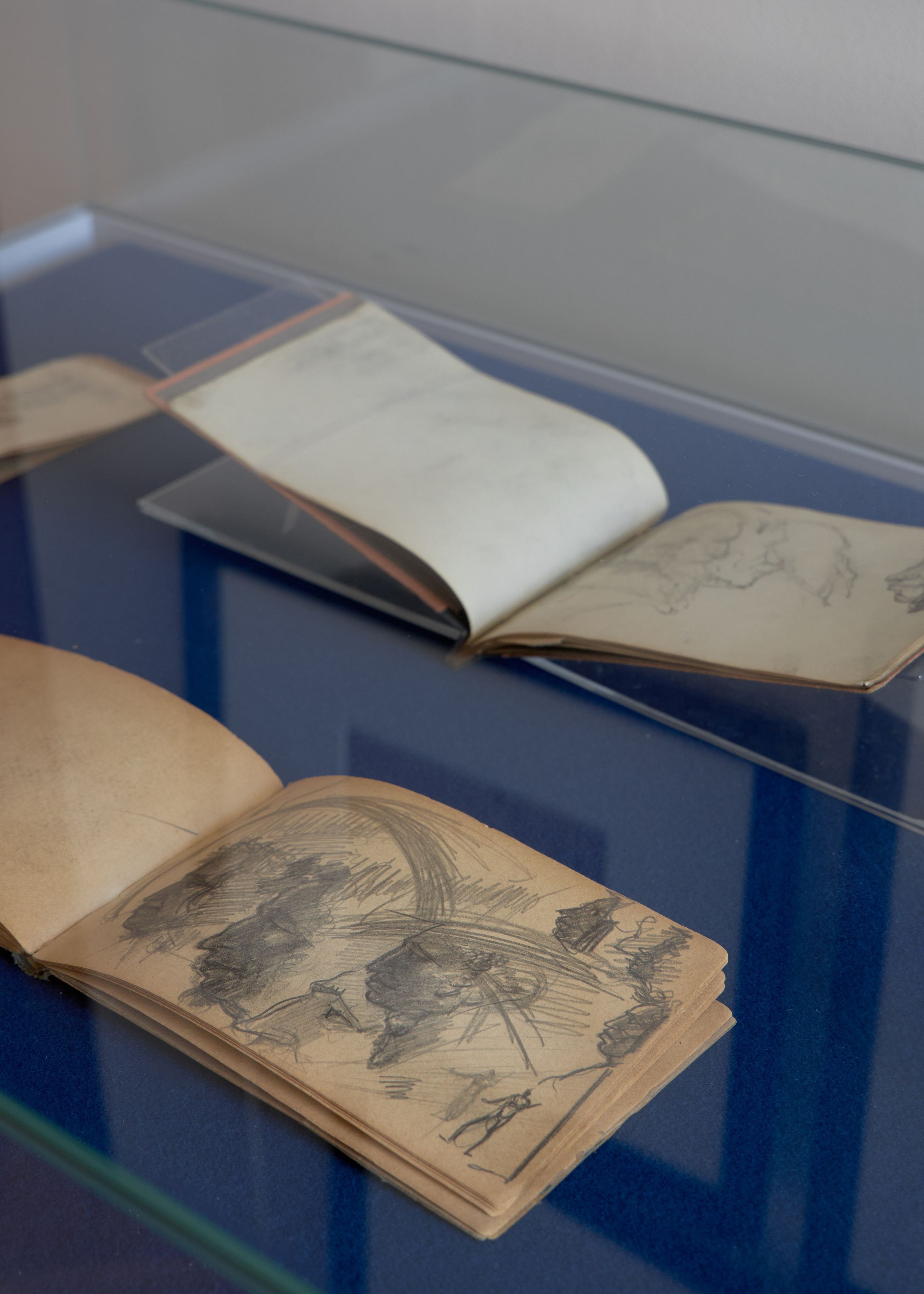 Победа над солнцем: А. С. Пушкин и русский авангард. Mikhail Kurganov