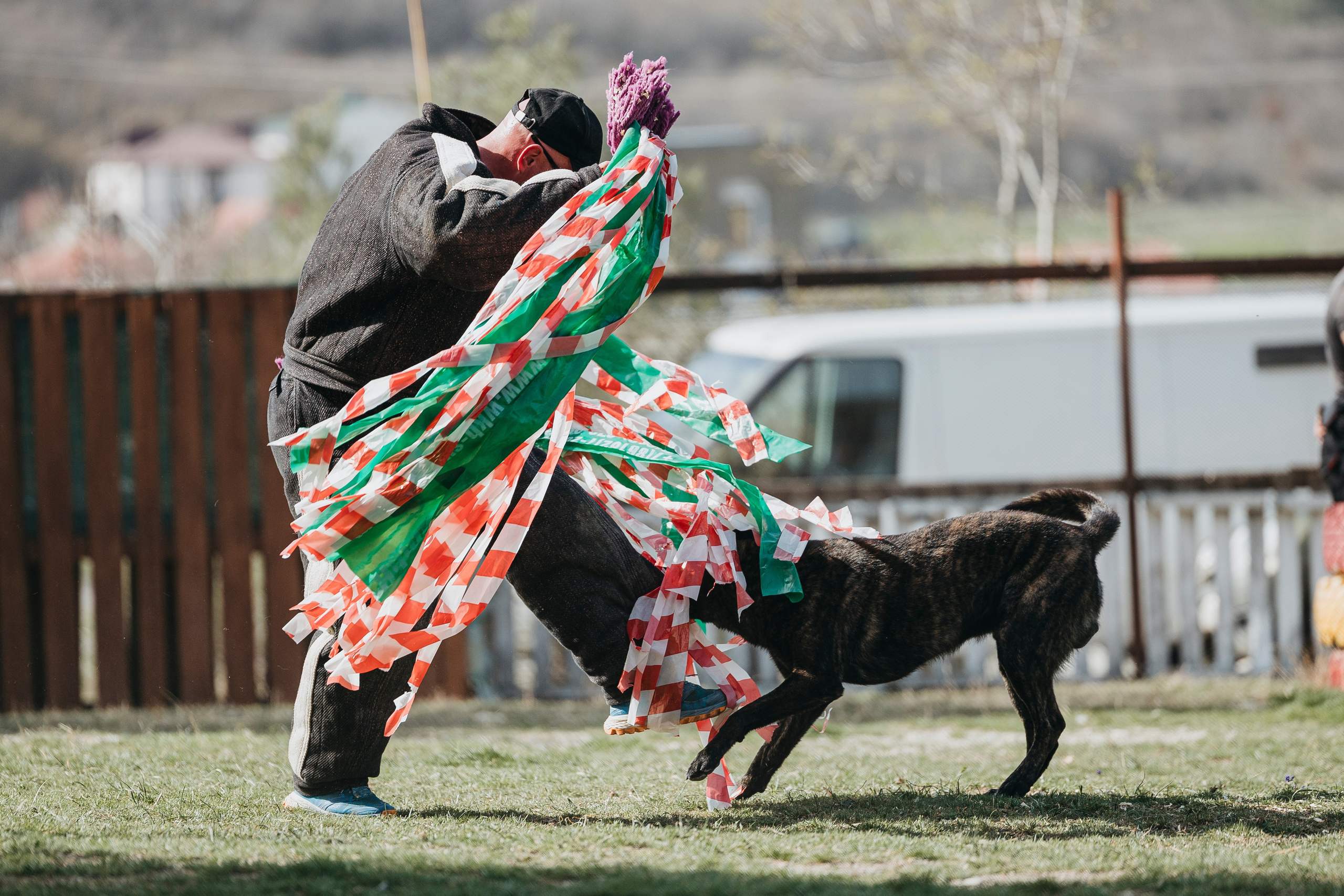 Геленджик Мондьоринг. Фотограф-анималист Анна Маринич