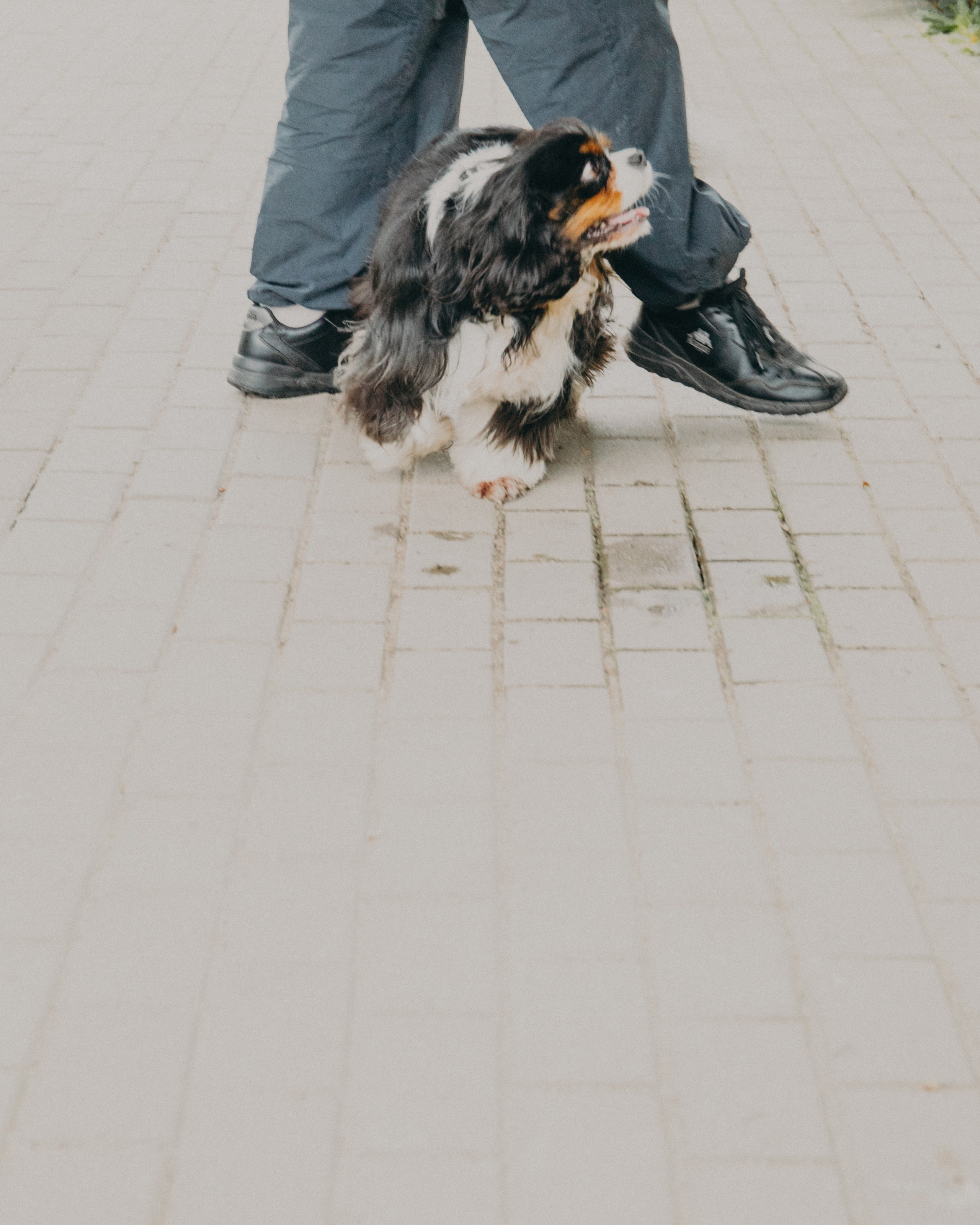 Гилдин. Портретный фотограф Ванинен Анастасия. Санкт-Петербург