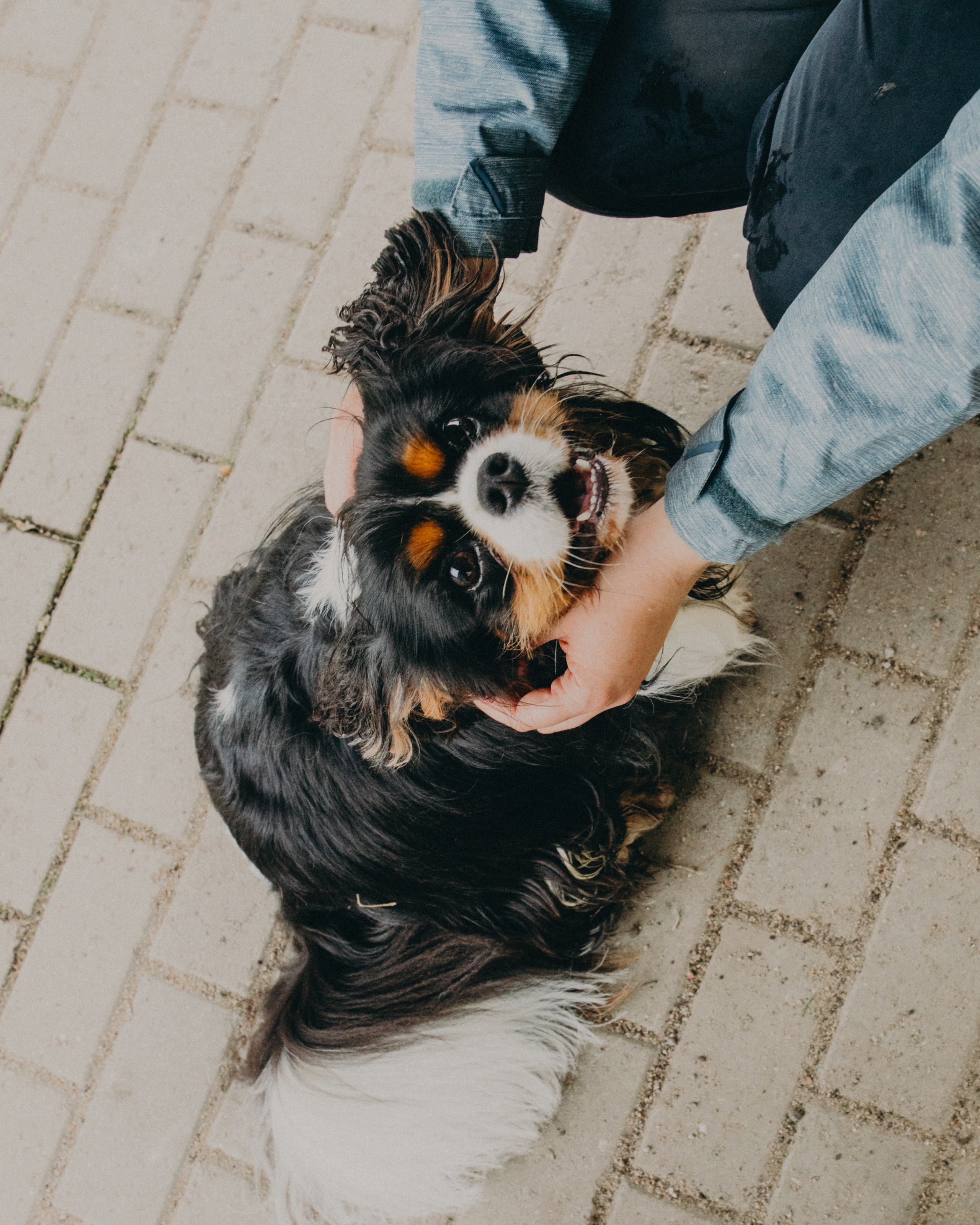 Гилдин. Портретный фотограф Ванинен Анастасия. Санкт-Петербург