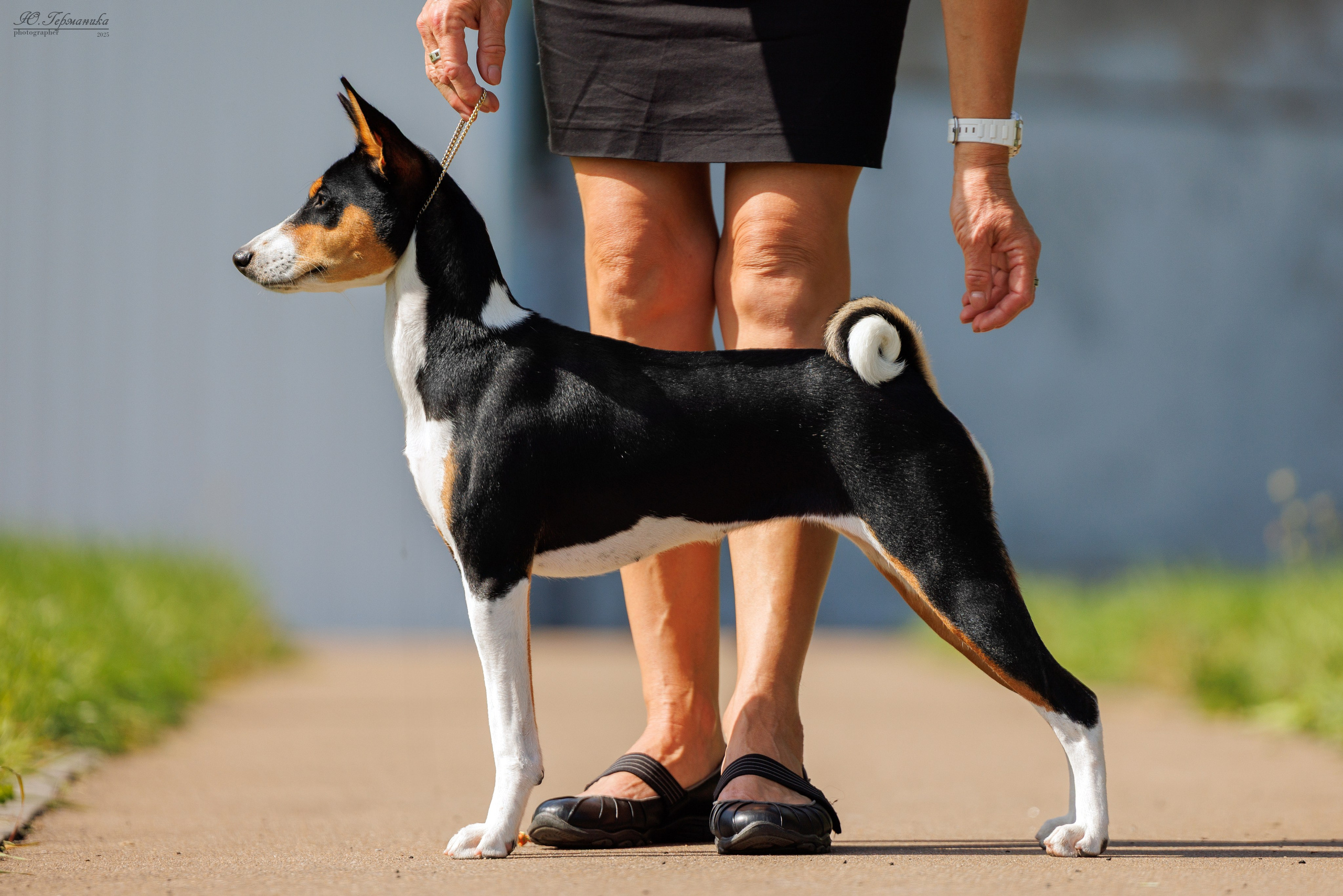 Коломна 30.08.2025. Фотограф-анималист Юлия Германика