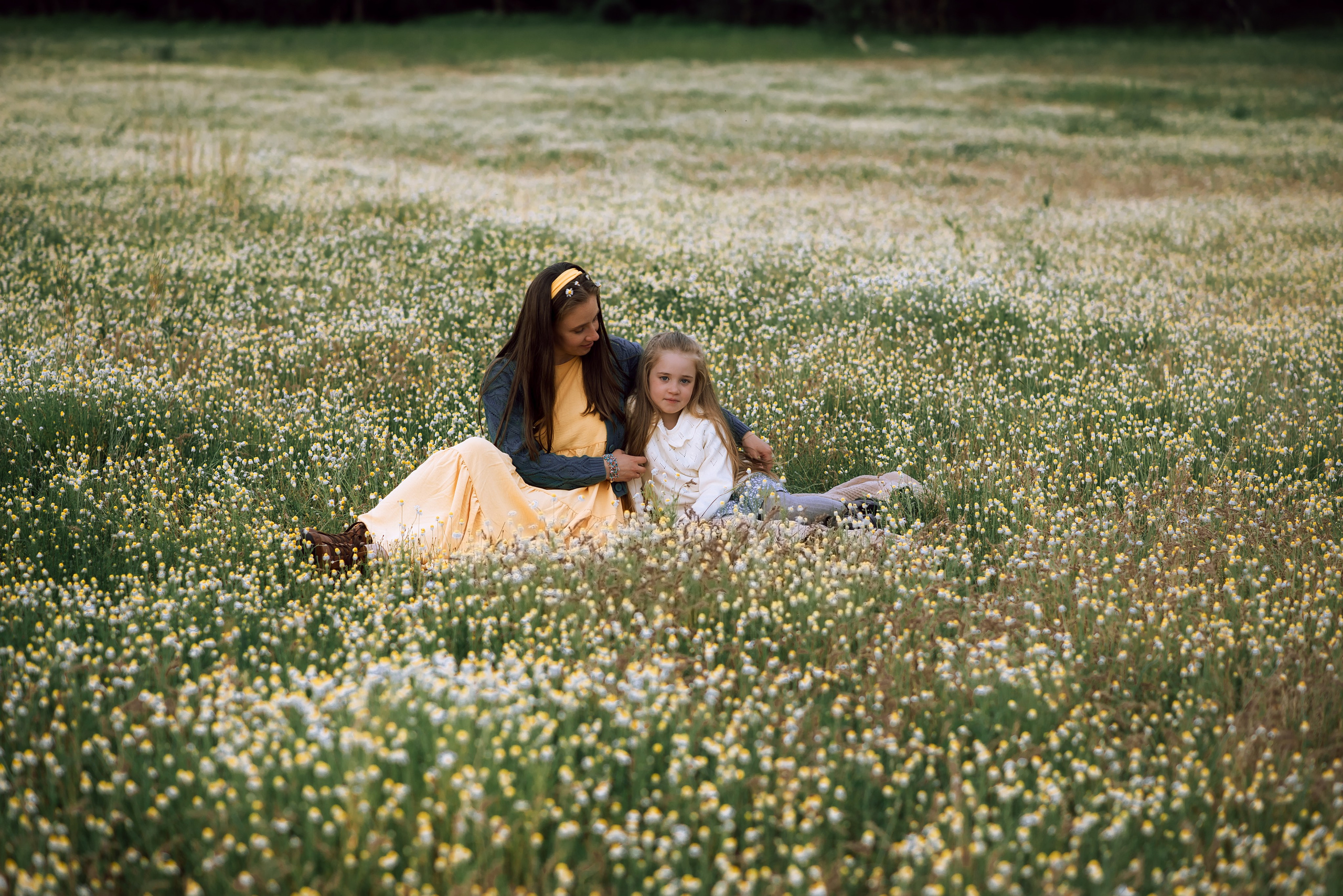 Ромашковое поле, полное любви. Главная