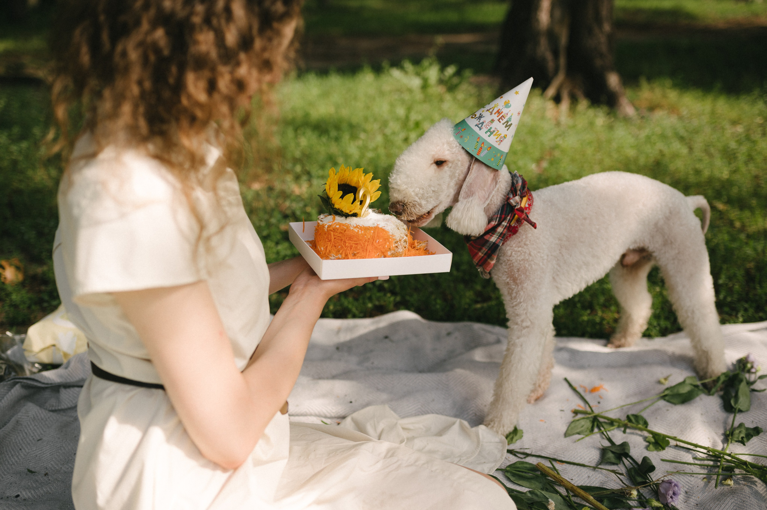 Лиза и Каспер. Фотограф анималист в Москве Ольга Агушева