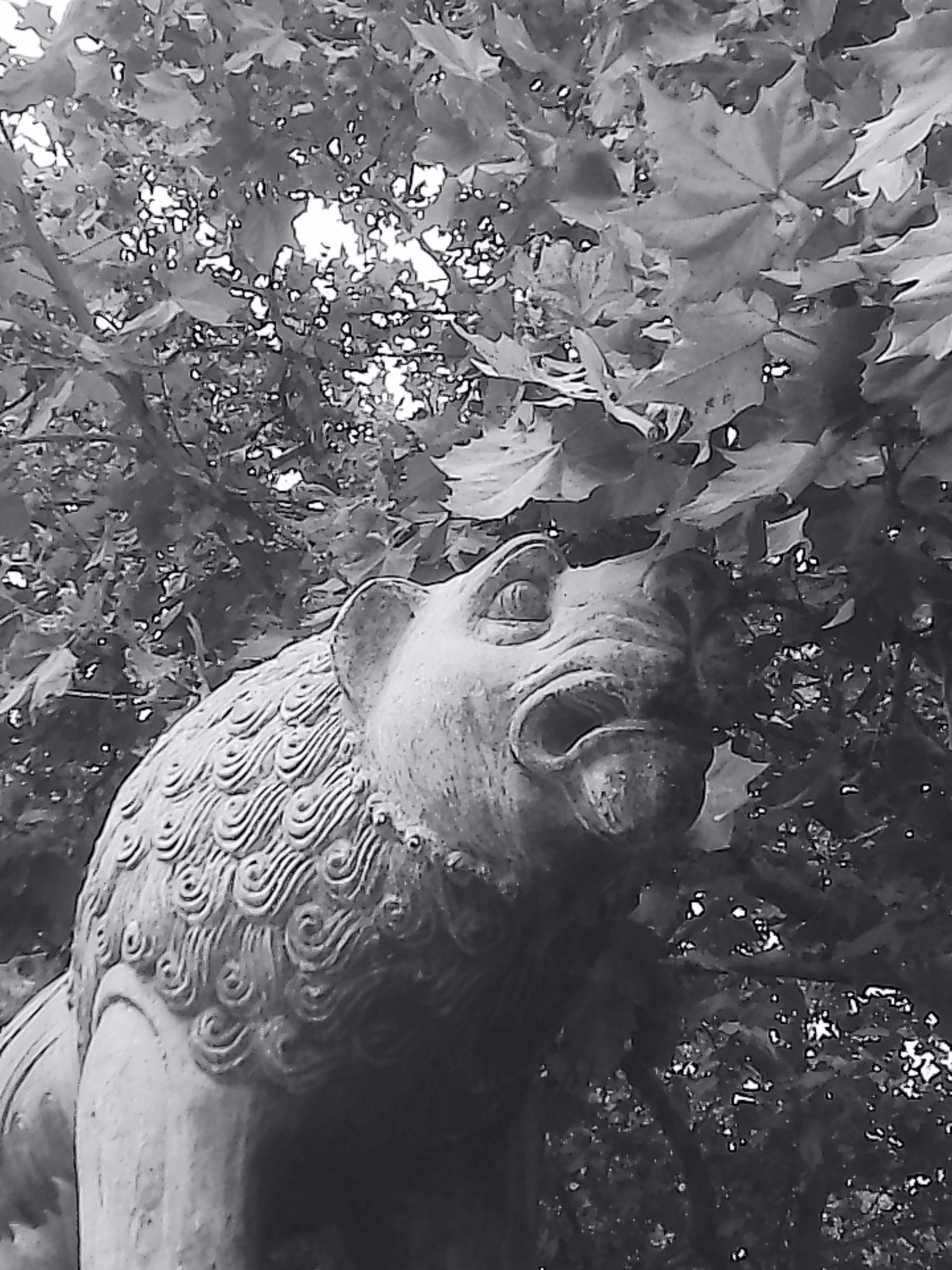 «Крошка 🐣». Anita_photo