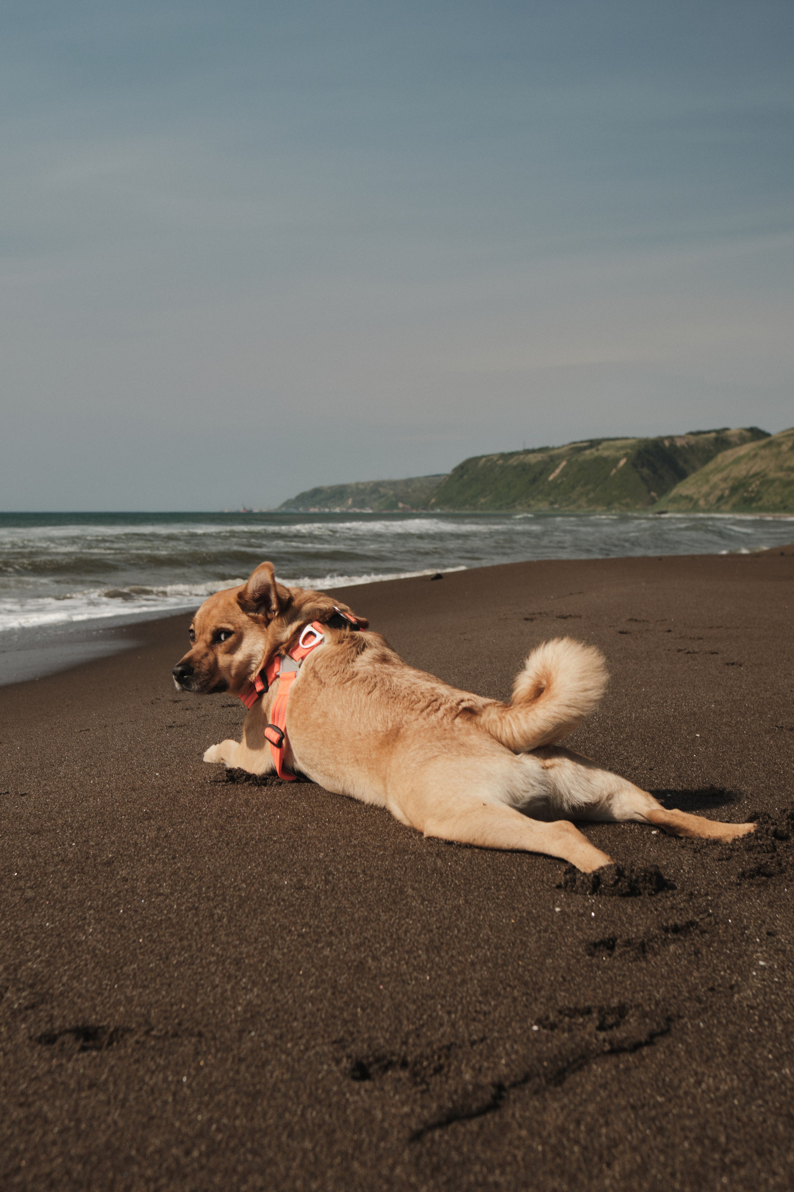 Портретная съемка