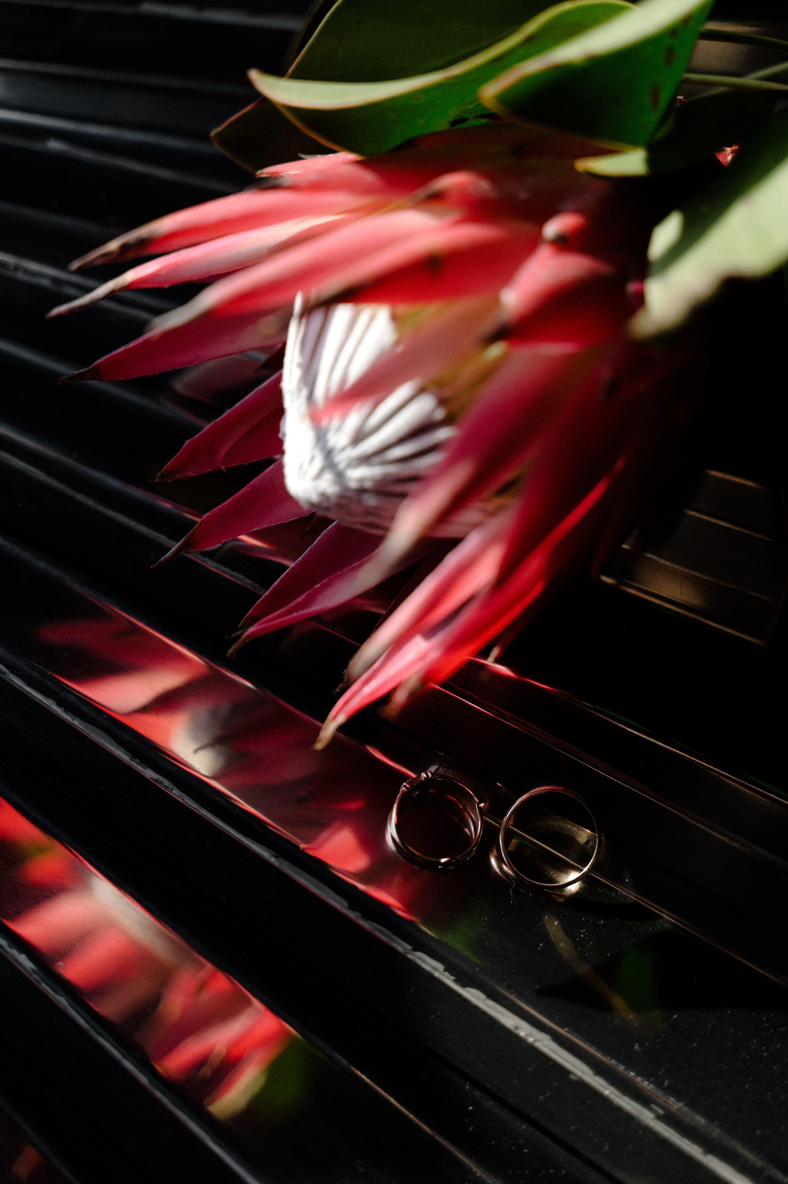 Салон свадебных платьев BrideWedd. СВАДЕБНЫЙ ФОТОГРАФ Яна Арбан Йошкар-Ола/Казань/Москва/Санкт-Петербург