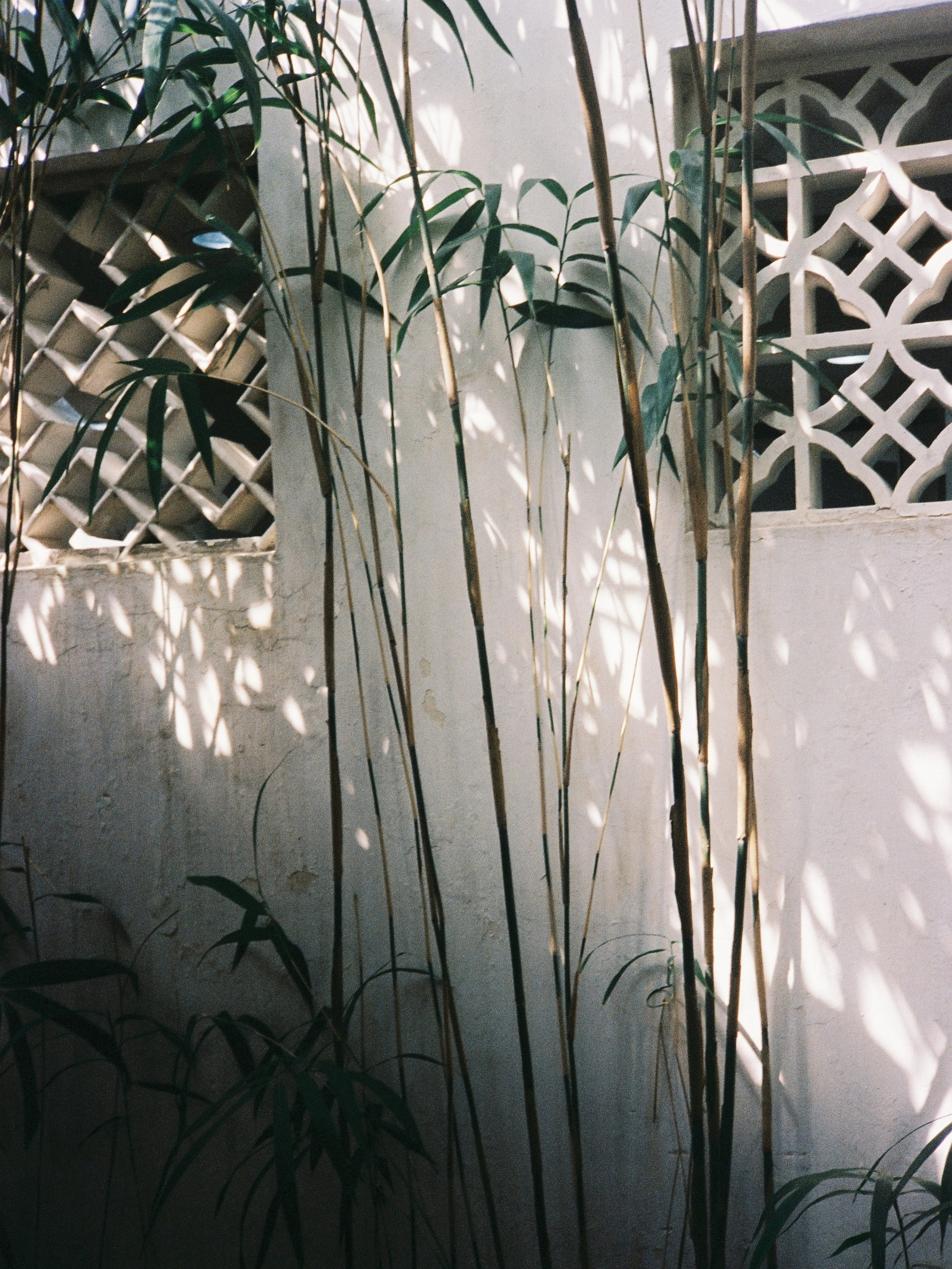 Olya Filina | Moscow Photographer