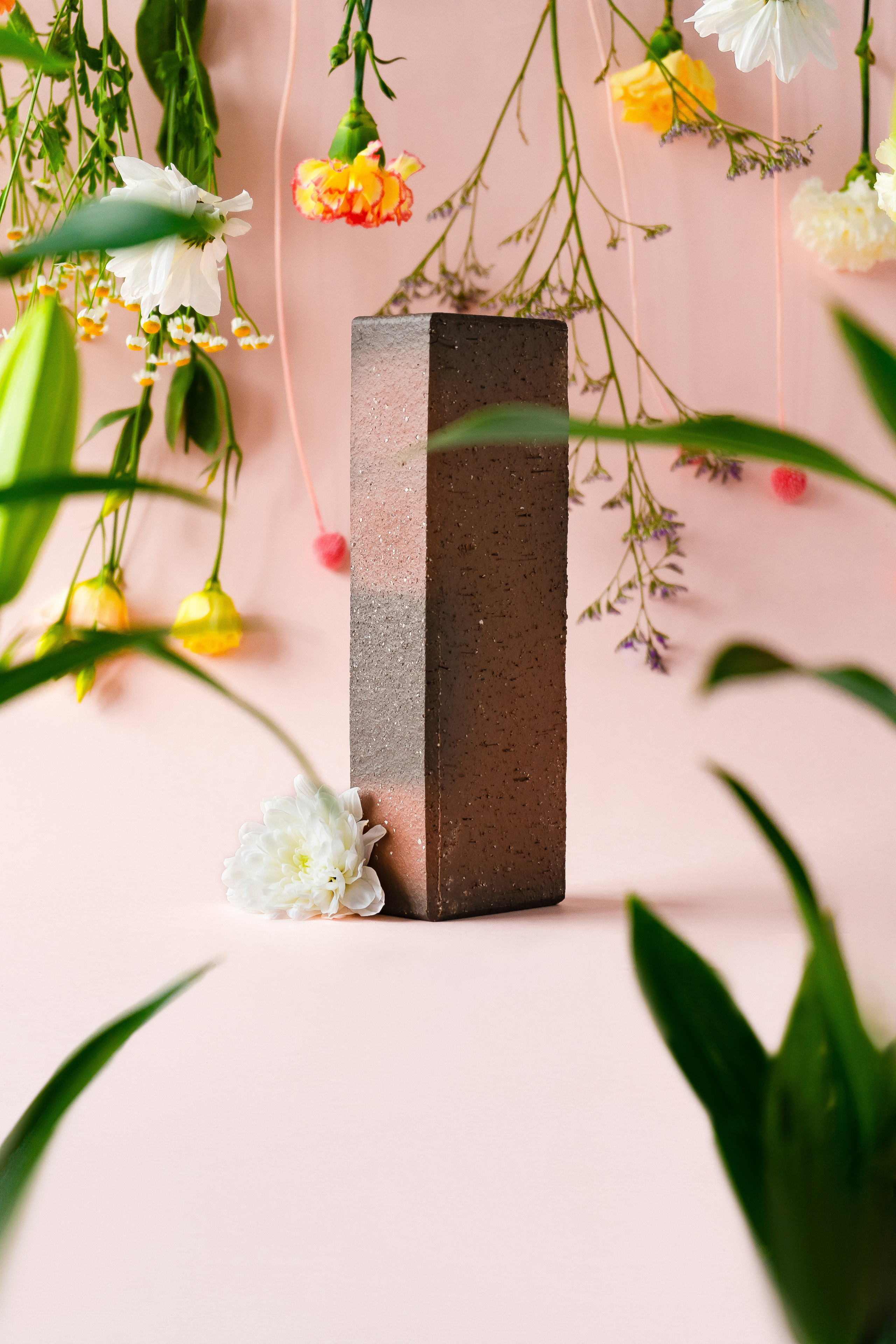 Image shooting. Photographer Anastasia Bondarchuk