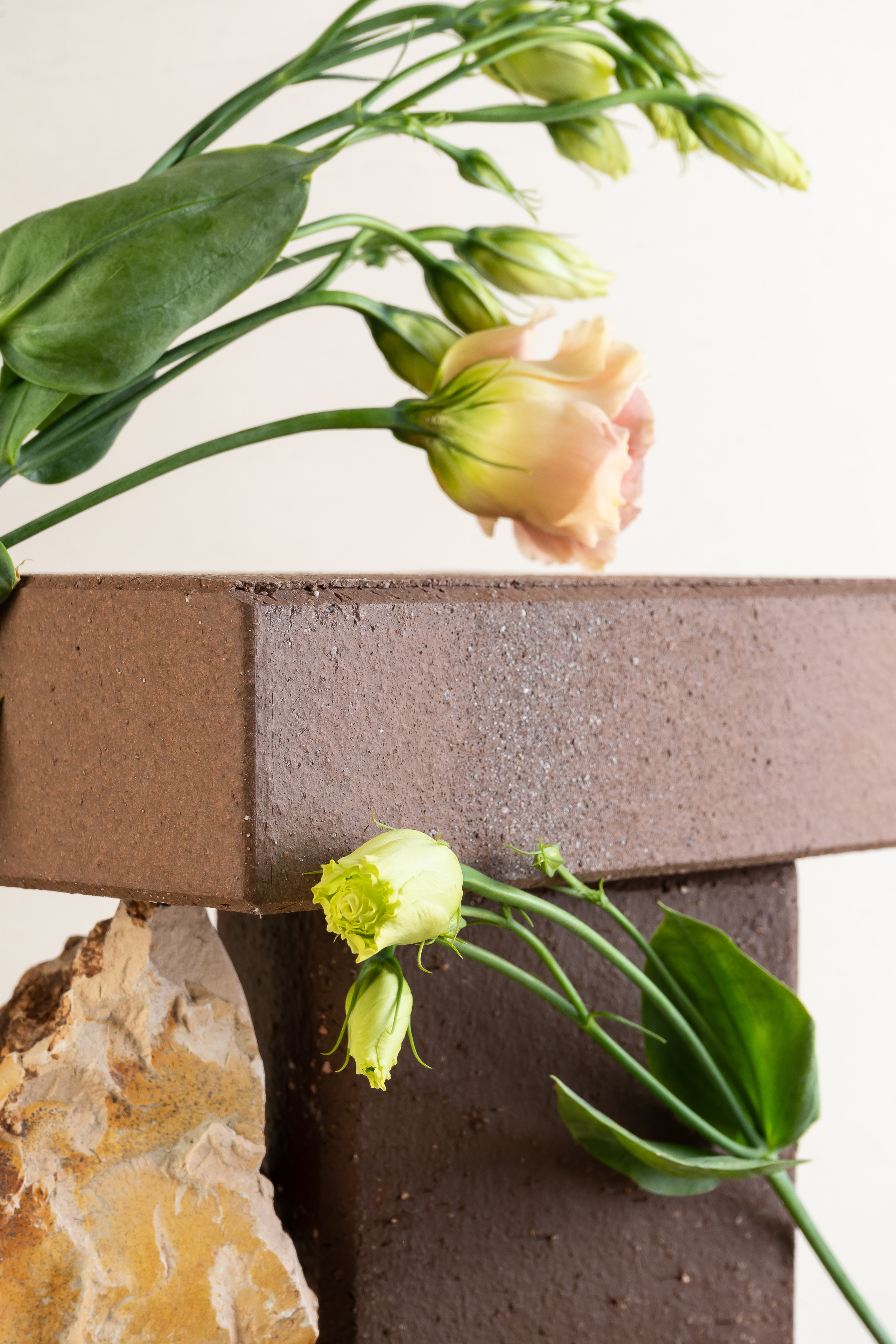 Image shooting. Photographer Anastasia Bondarchuk