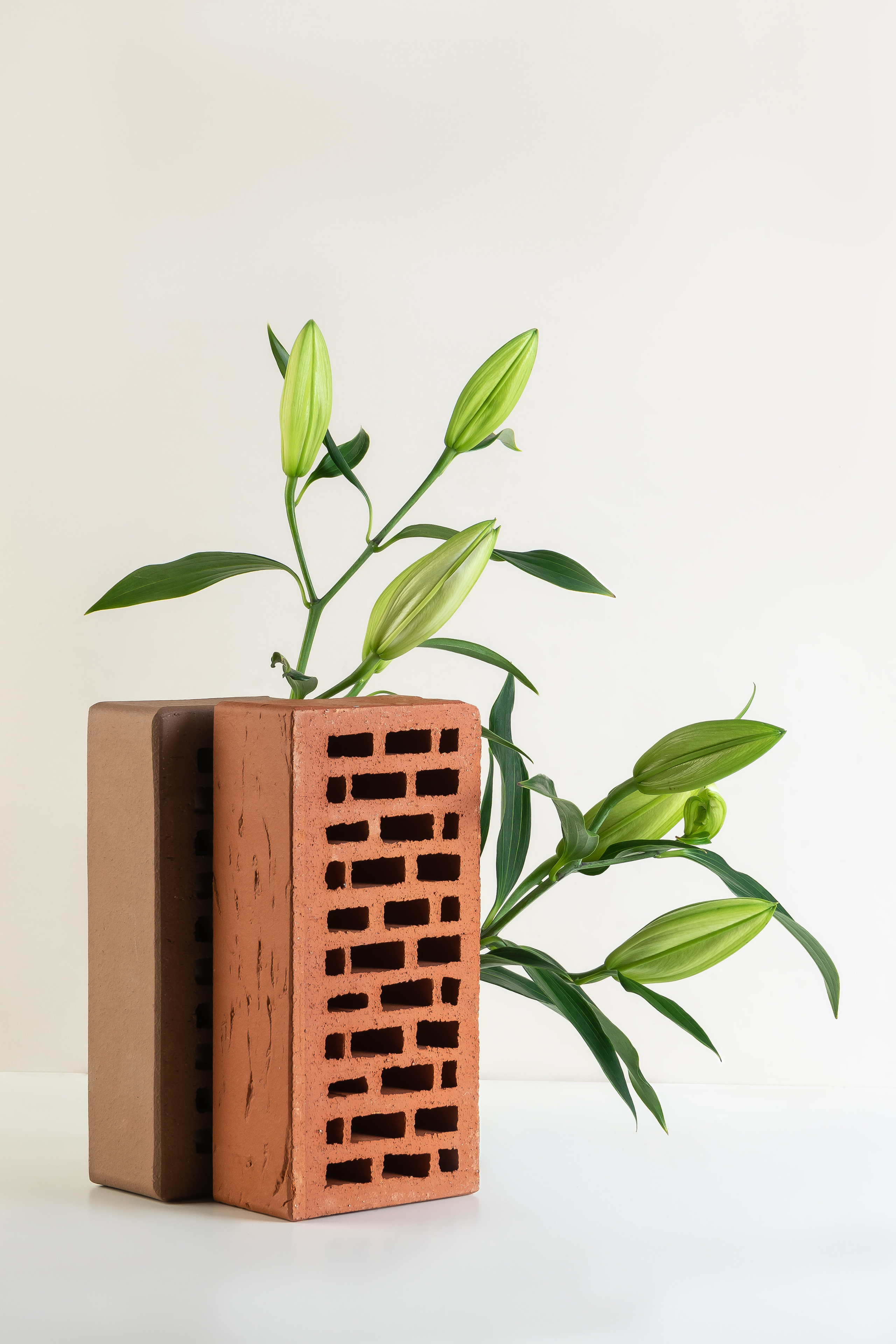 Image shooting. Photographer Anastasia Bondarchuk