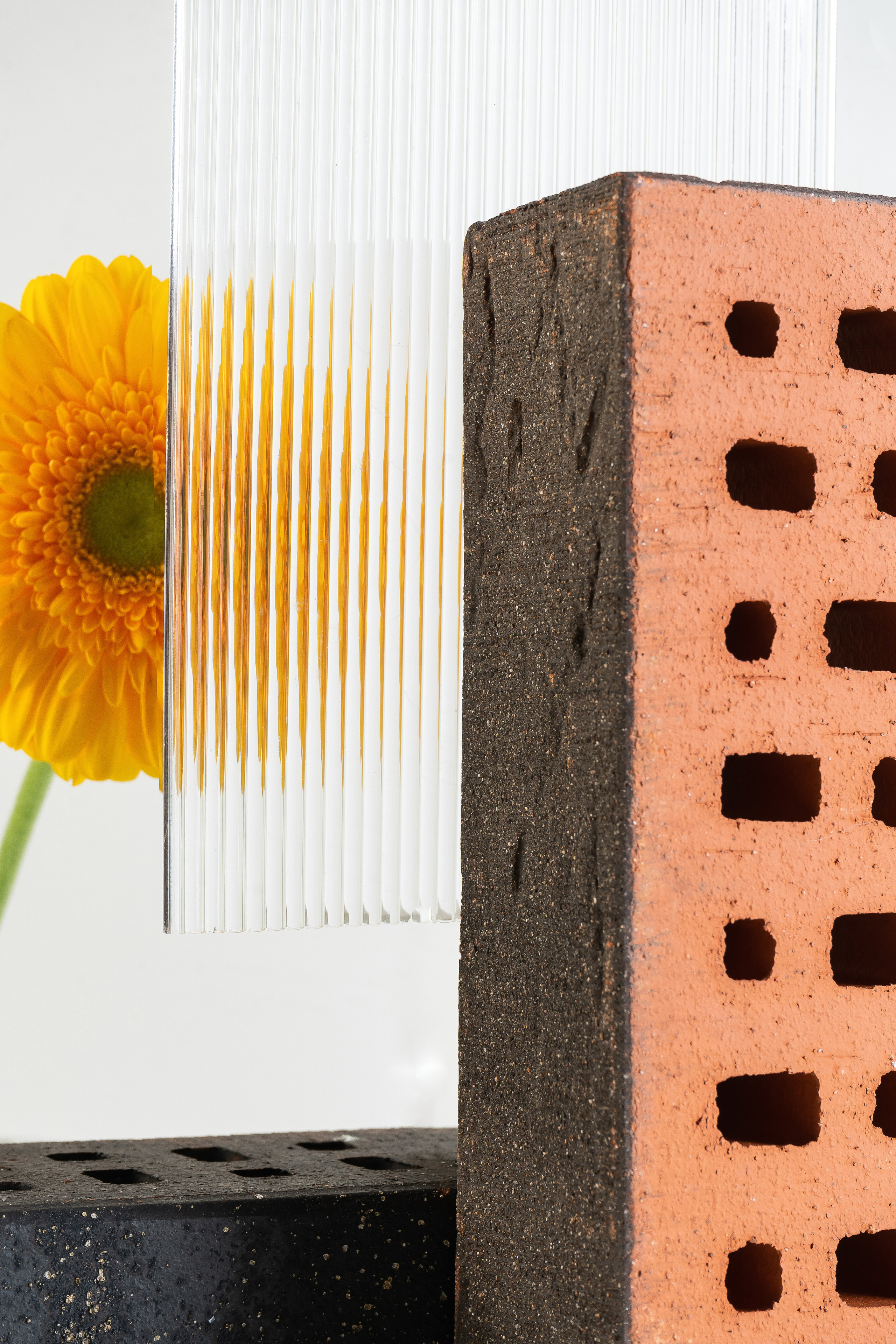 Image shooting. Photographer Anastasia Bondarchuk