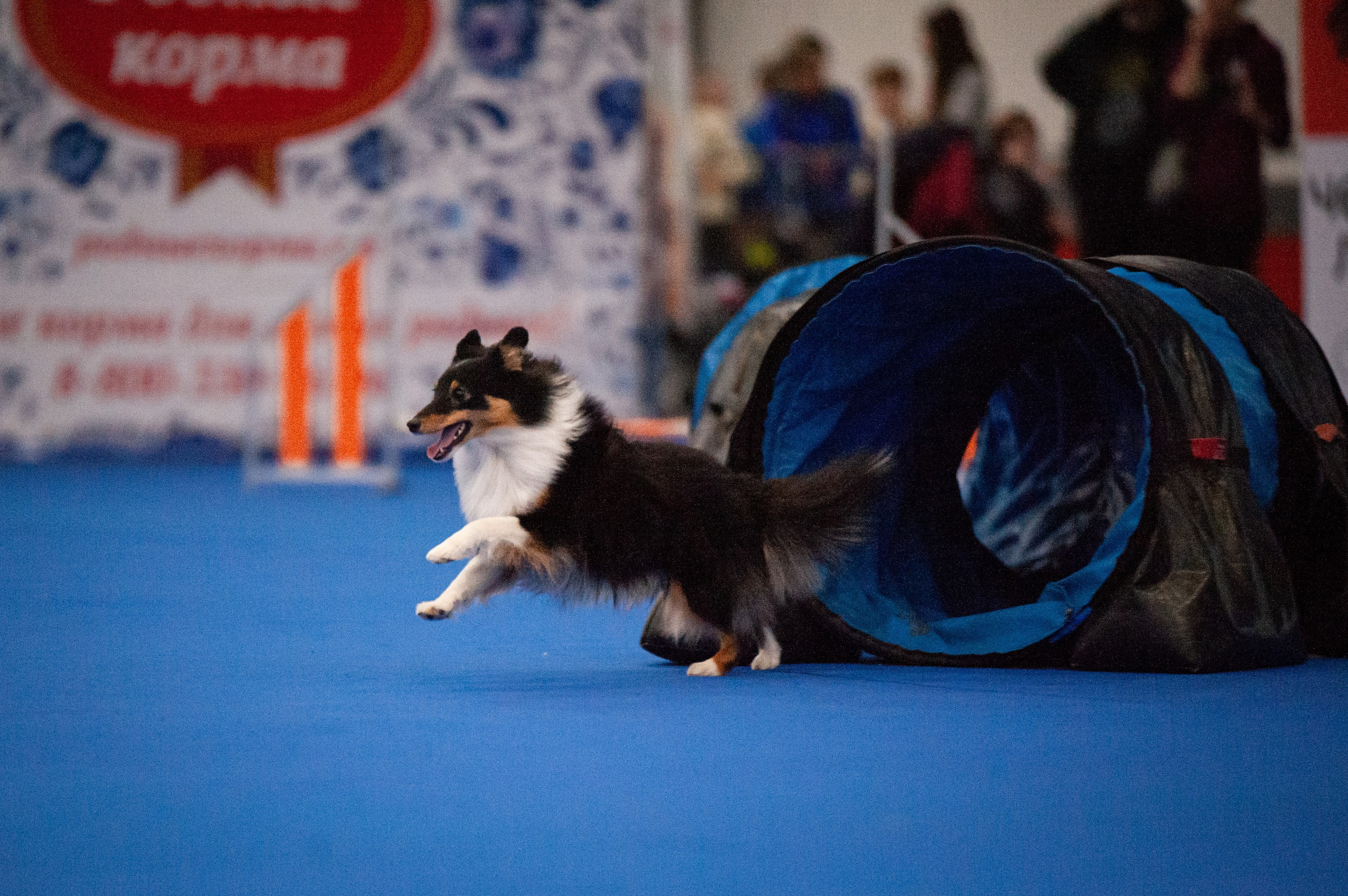Спорт. Танцевальный фотограф Анна Берзина, Санкт-Петербург