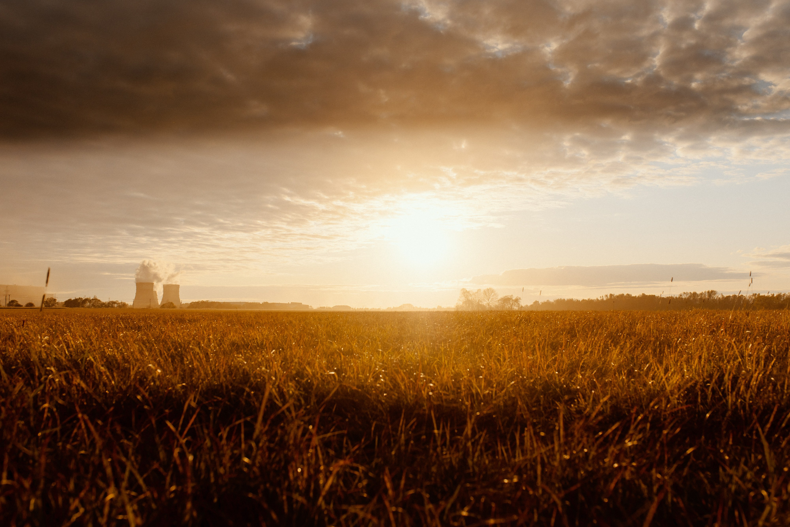 МАША + ДЕНИС. Шашкова Вероника / Свадебный и семейный фотограф Москва и Ярославль