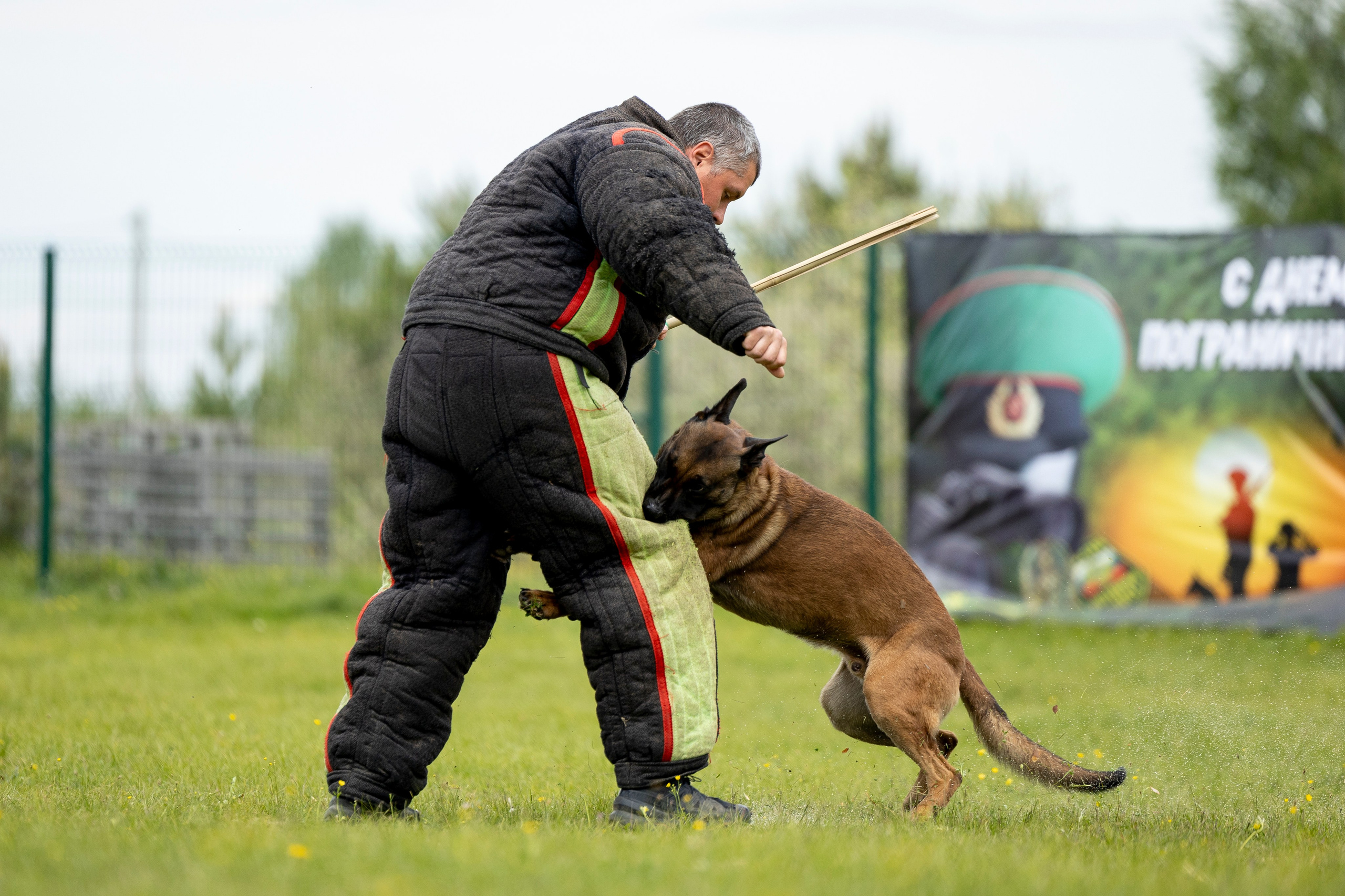 Испытания по мондьорингу в Нижнем Новгороде. Фотограф-анималист Анна Маринич