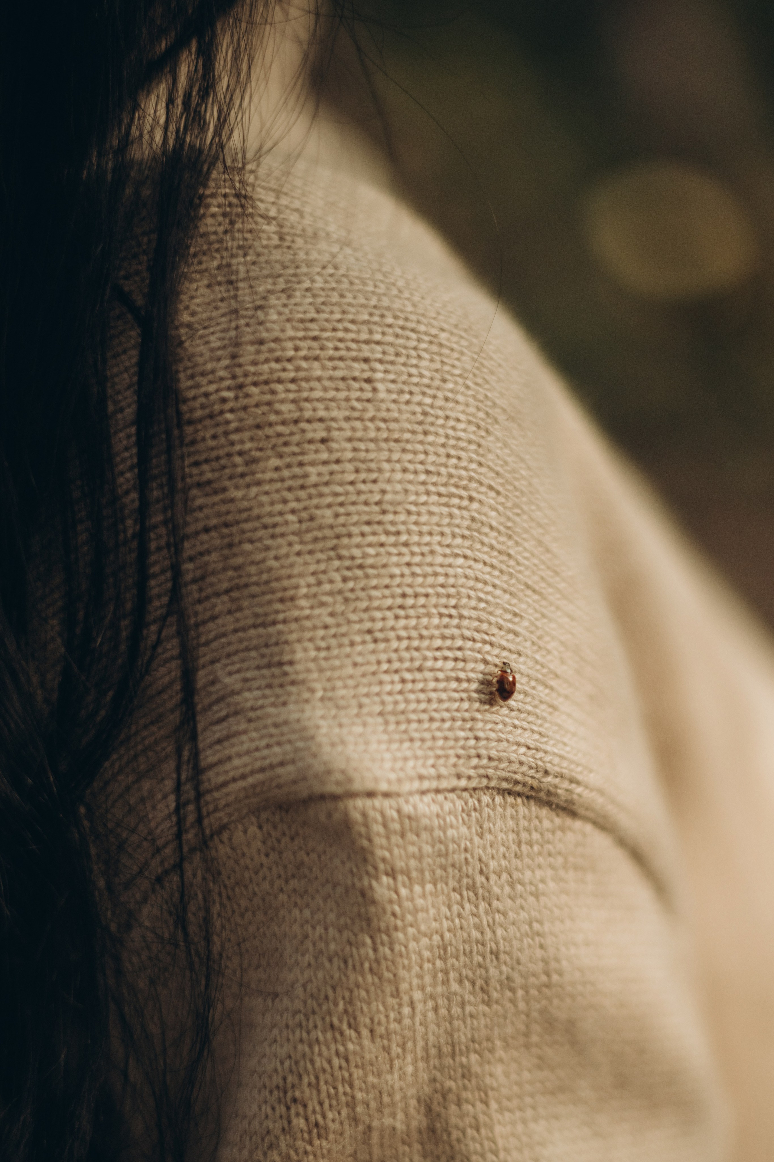 В тишине леса. Семейный фотограф в Брянске Зурилина Екатерина