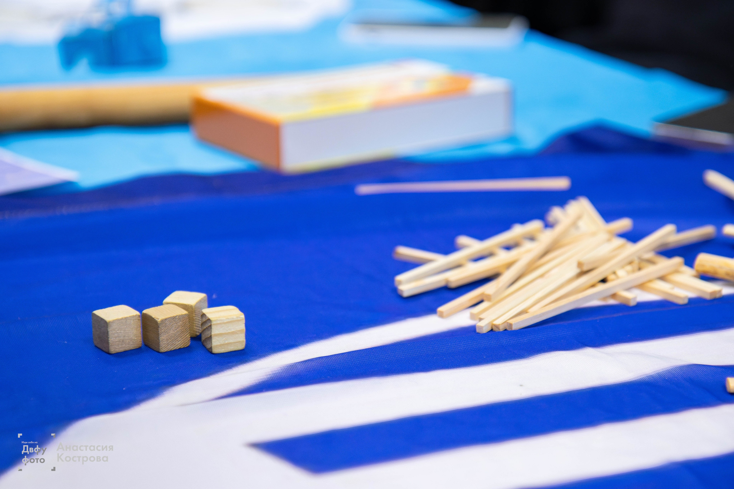 Ярмарка вакансий «Эд.хант». Репортажный фотограф во Владивостоке Анастасия Кострова