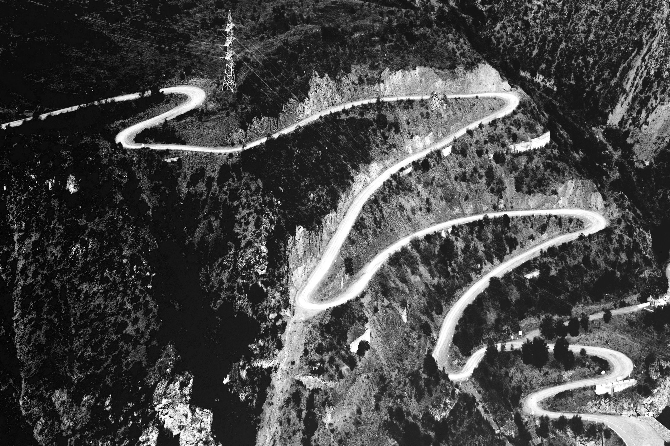 Фото. Фотограф Лагутин Анатолий