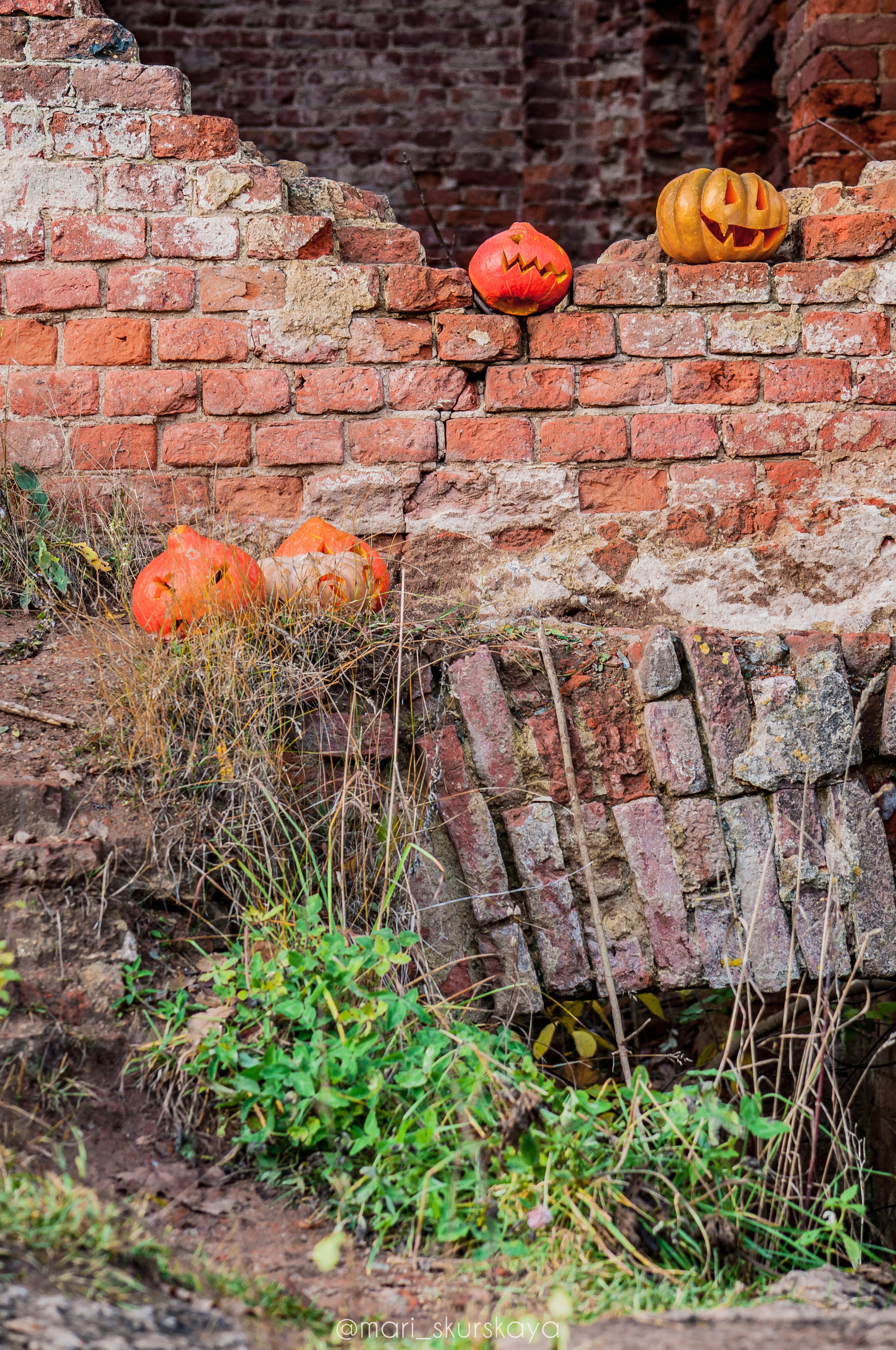 Даша — Хэллоуин — Kawasaki ZX6R. Мотофотограф в Санкт-Петербурге Мария Скурская