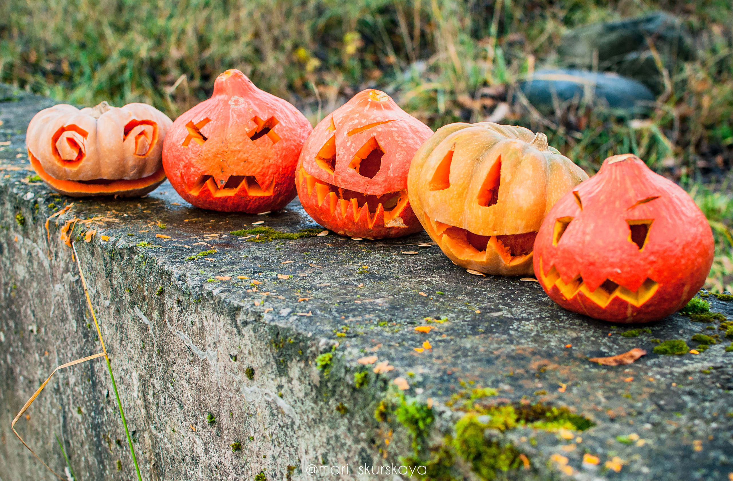 Даша — Хэллоуин — Kawasaki ZX6R. Мотофотограф в Санкт-Петербурге Мария Скурская