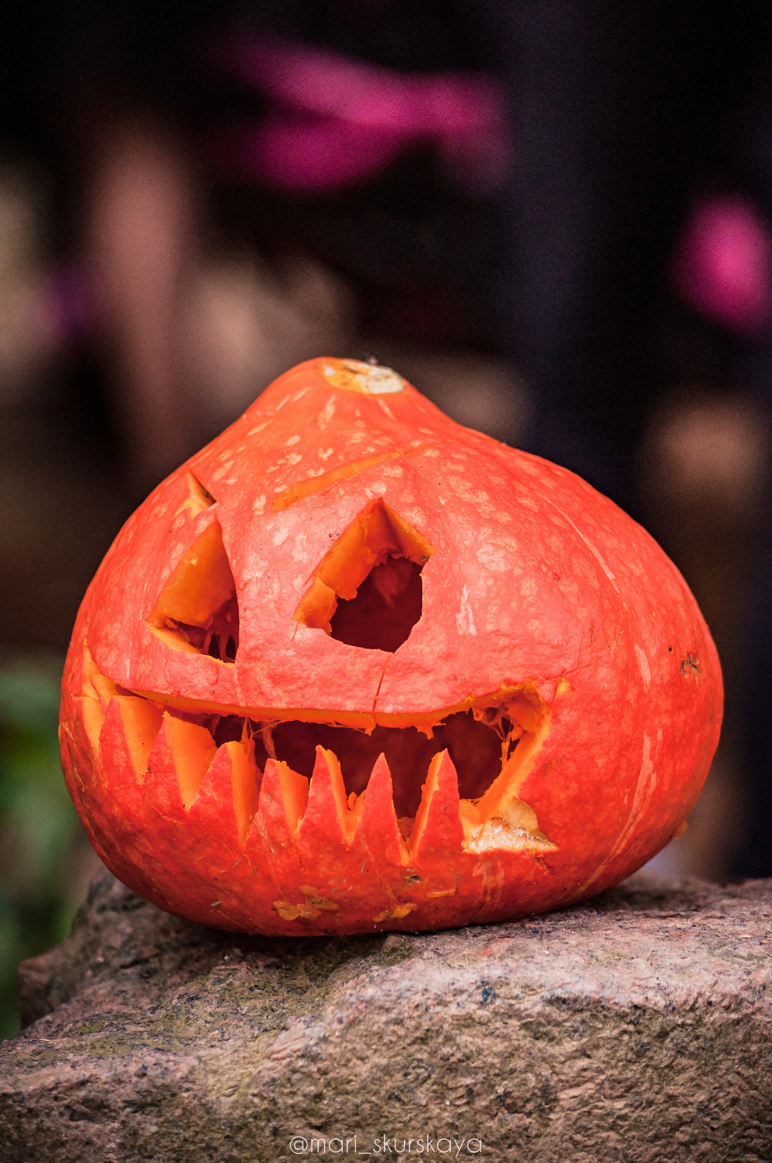 Даша — Хэллоуин — Kawasaki ZX6R. Мотофотограф в Санкт-Петербурге Мария Скурская