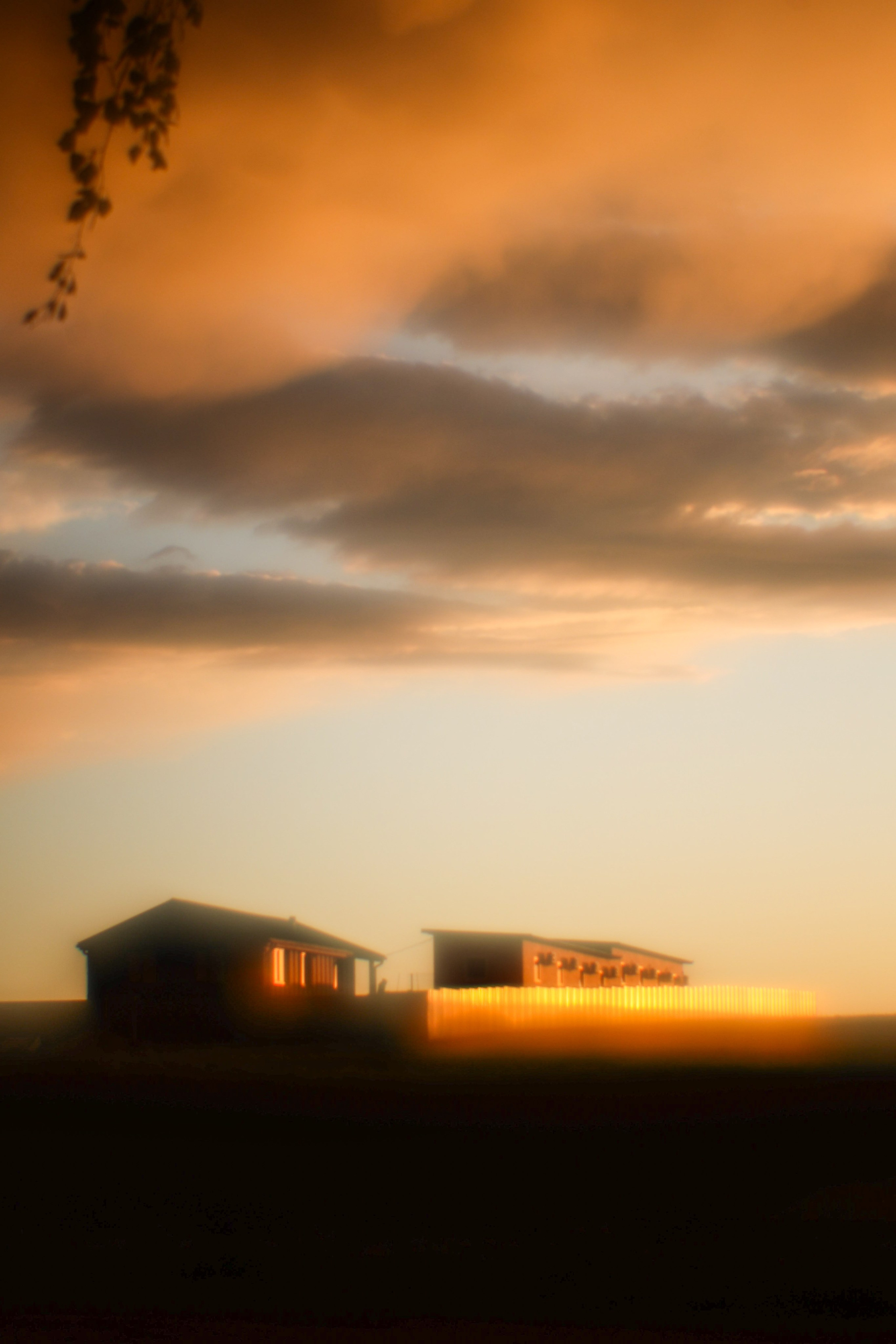 Пикториальный альбом. Семейный LIFESTYLE фотограф в Москве