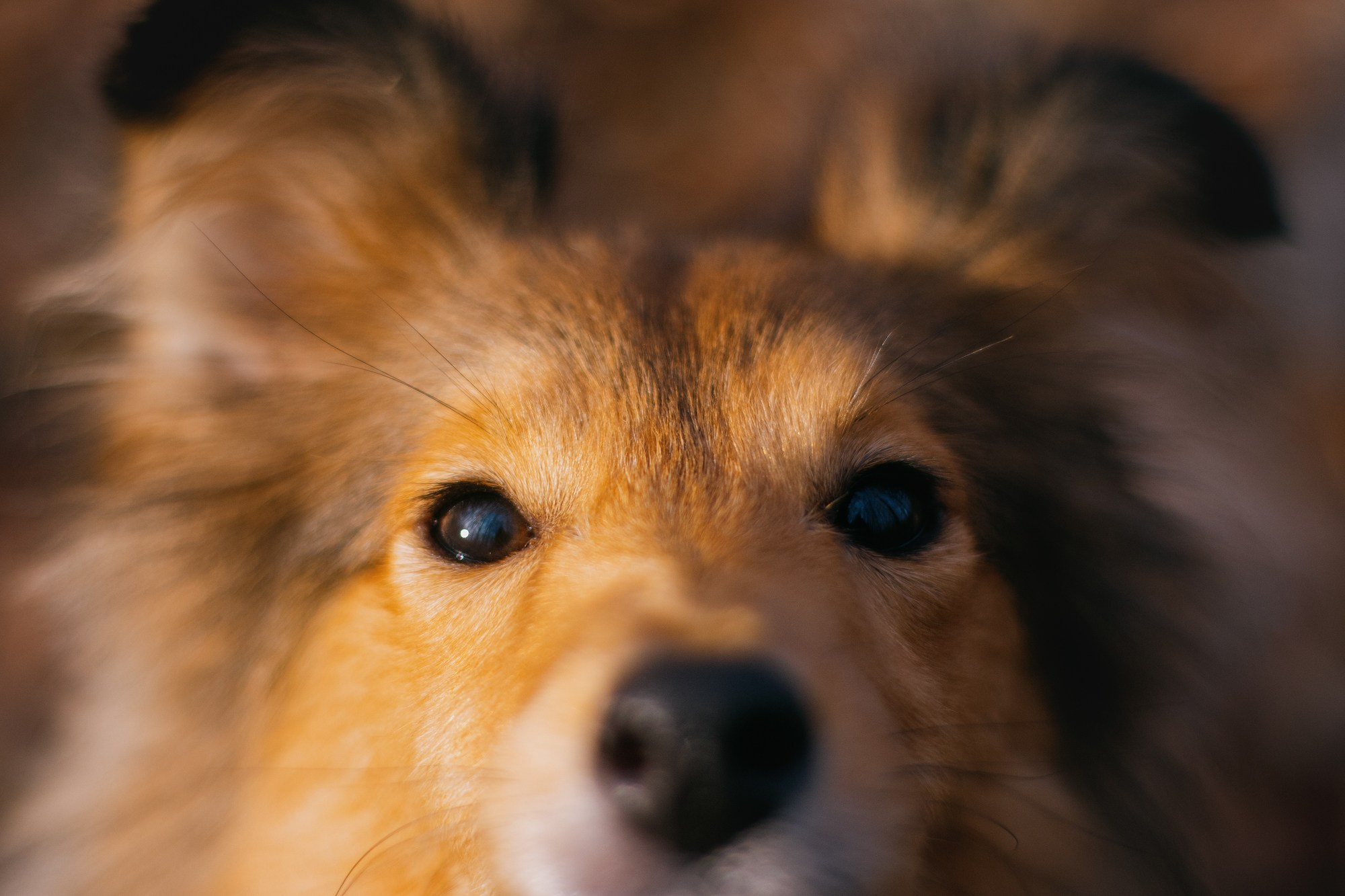 Анна и Габи. Фотограф в Тюмени Лизавета Сапицкая
