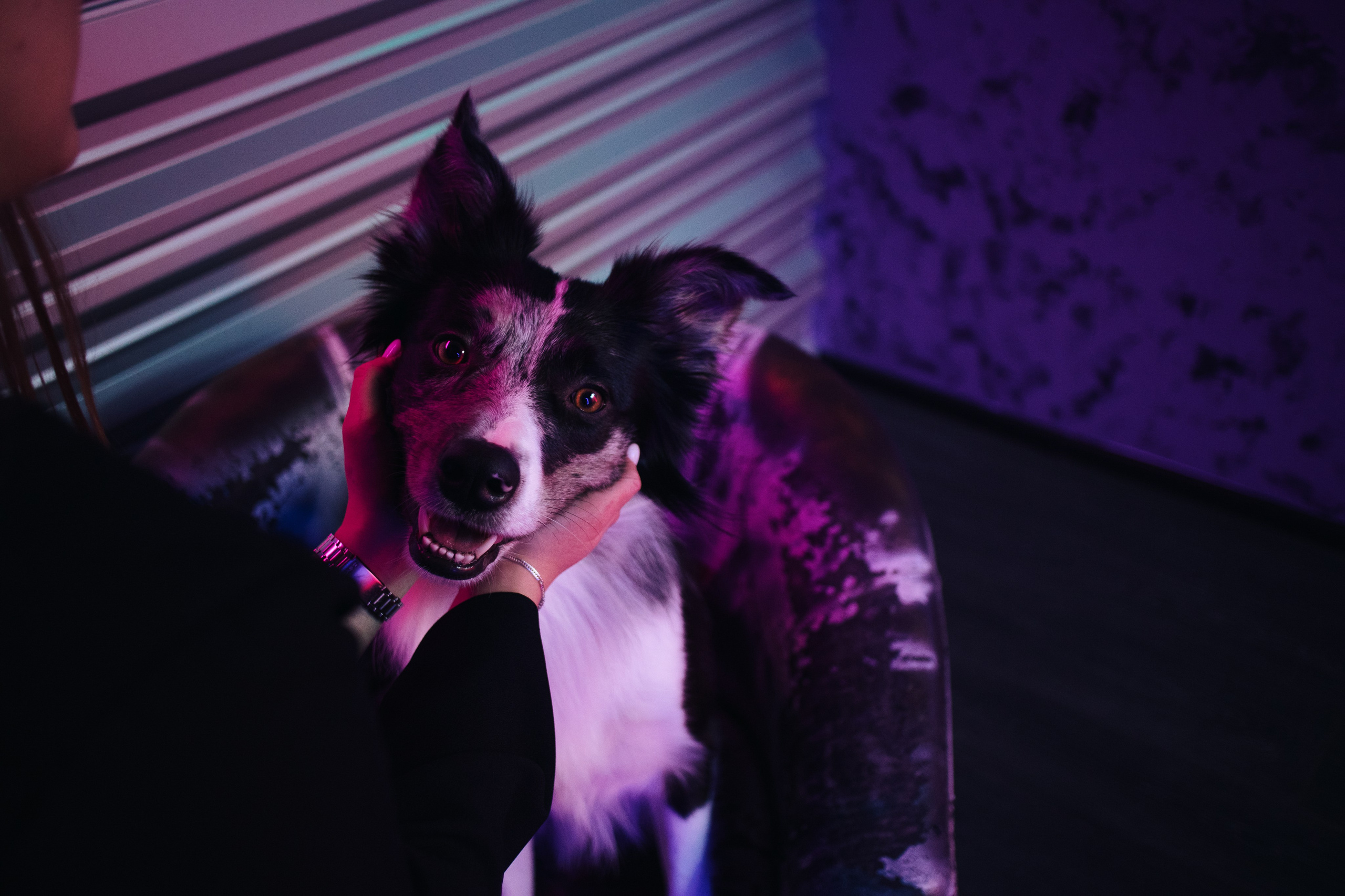 Настя и Тэйс. Фотограф в Тюмени Лизавета Сапицкая