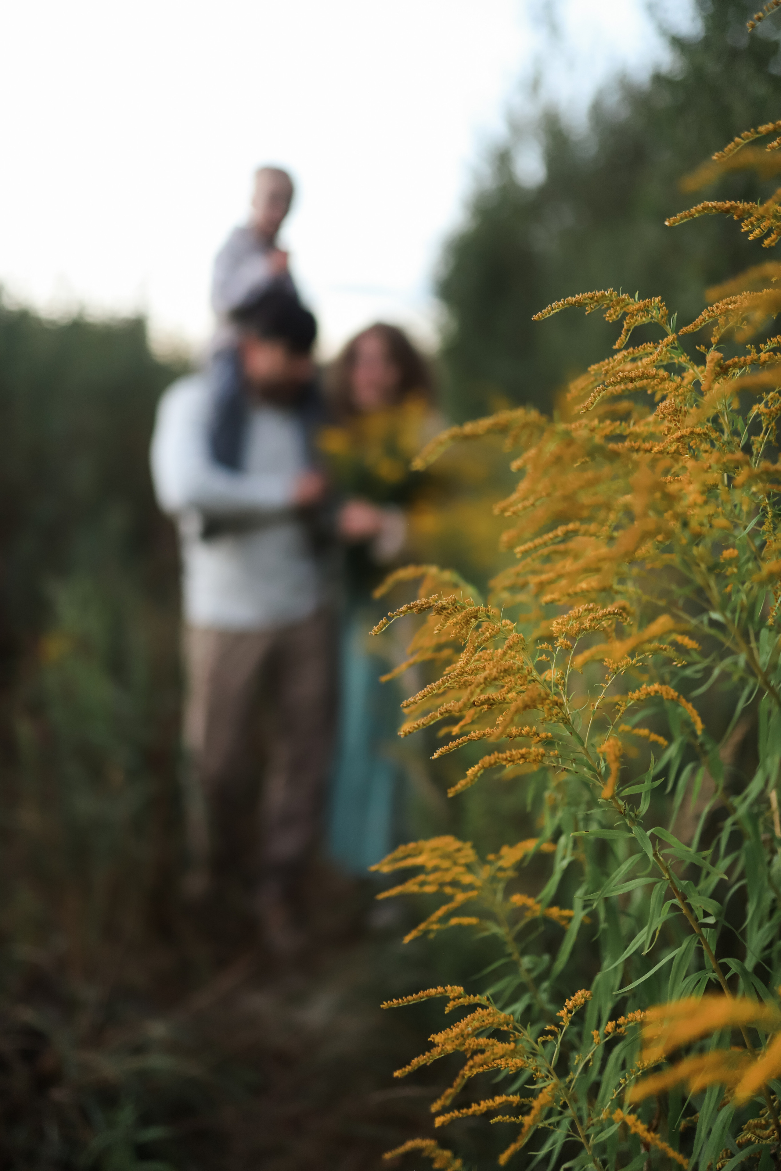 Прогулка с собакой. Семейный фотограф Елизавета Увицкая