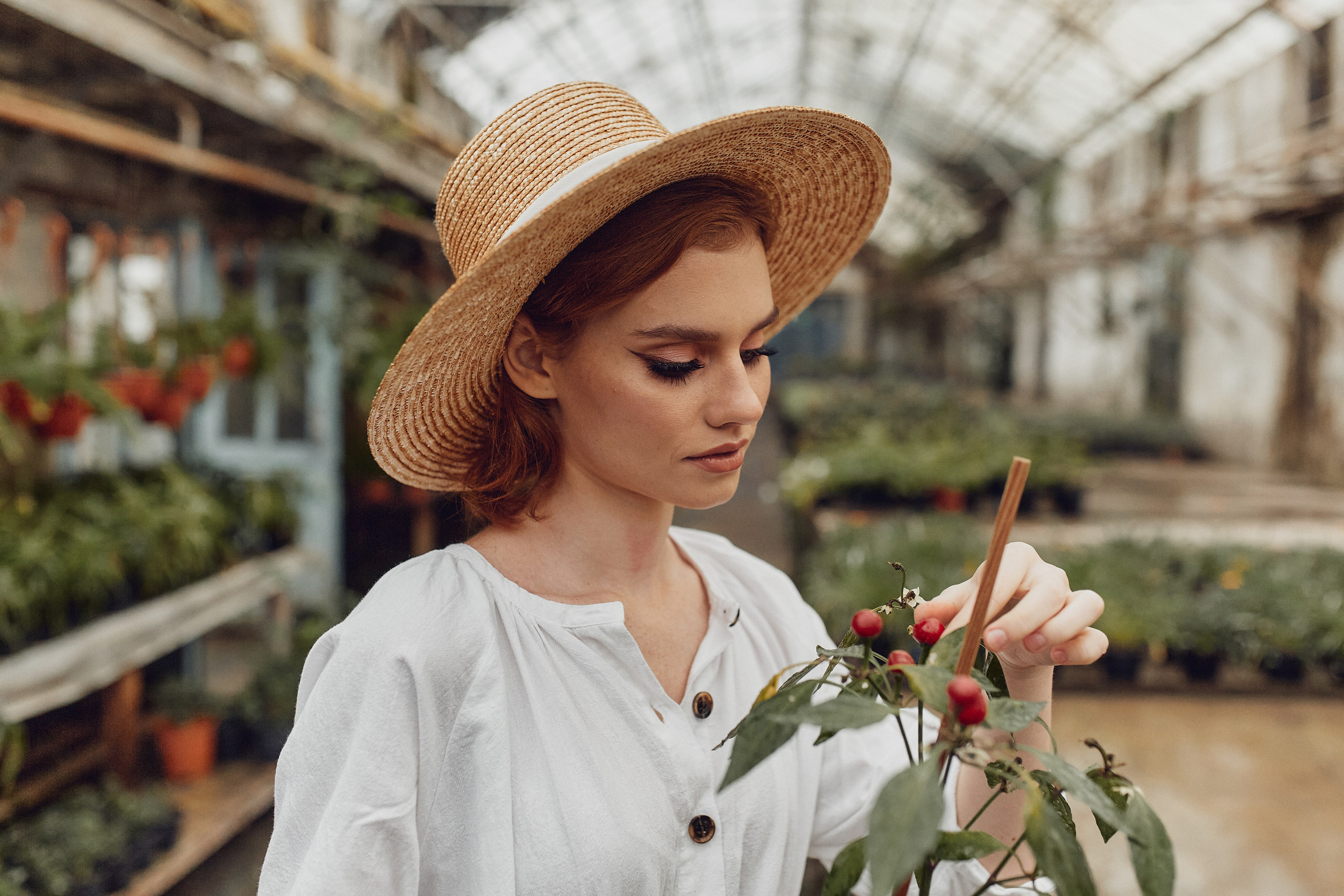 Старая оранжерея