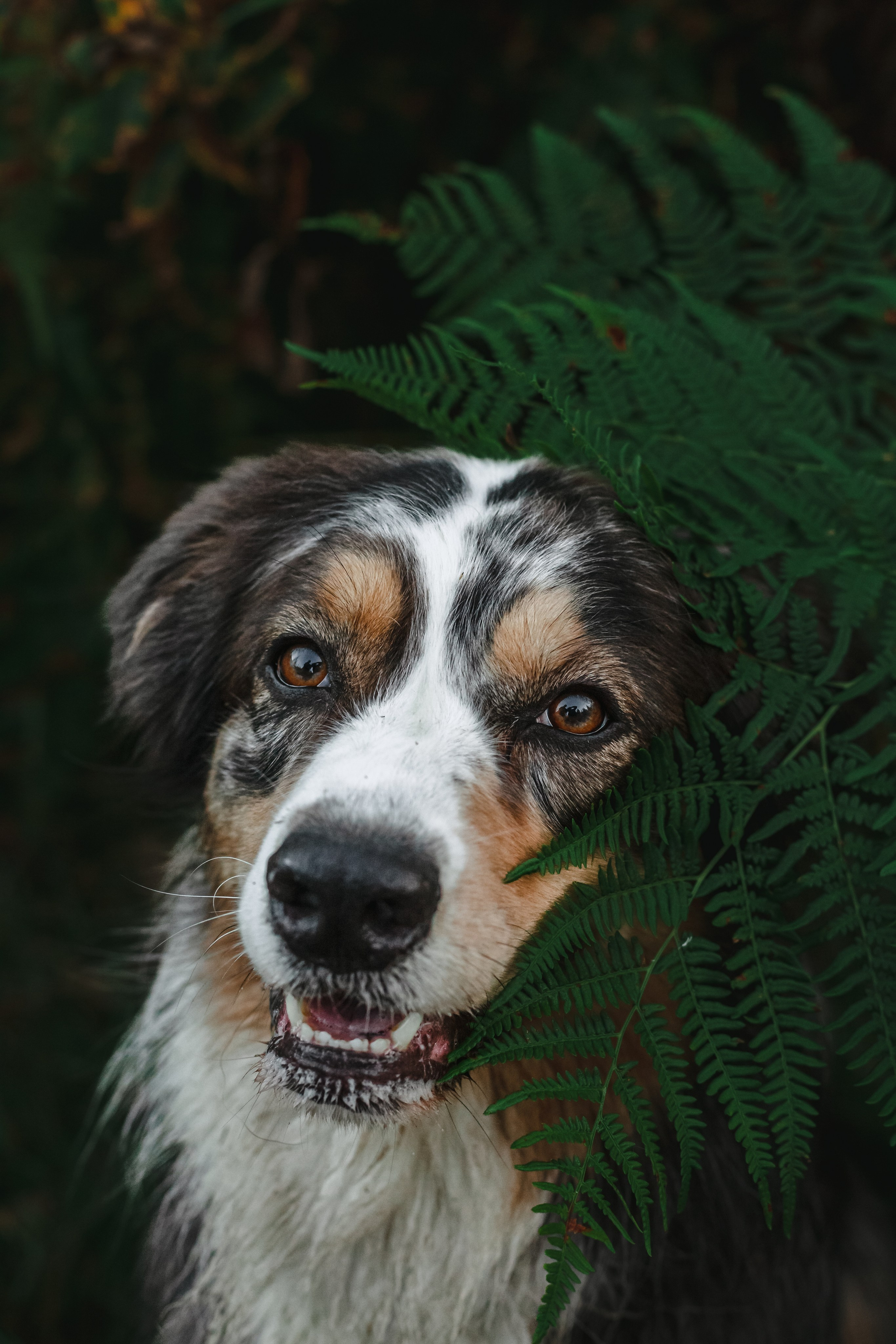 Фотопрогулка в Ленобласти. Фотограф-анималист Татьяна Степанова