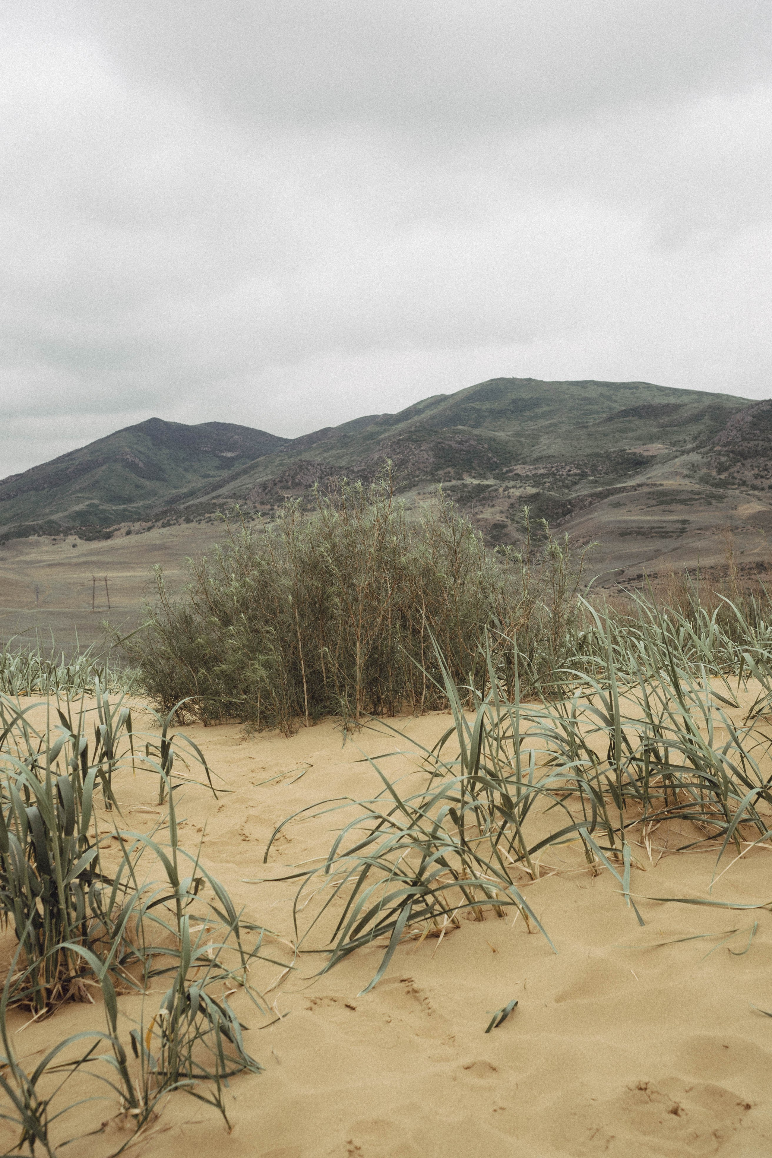 Кавказ. Профессиональный фотограф, Санкт-Петербург — Виктория Богомолова