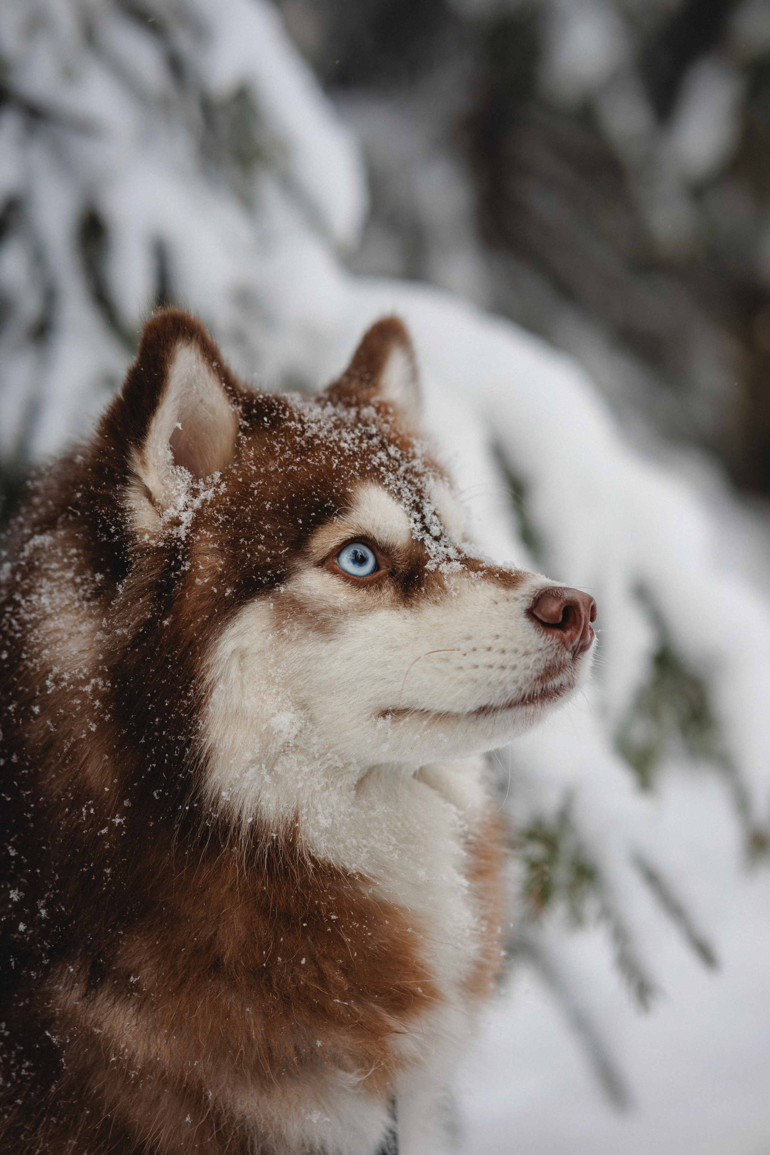 Полина и Миша. Фотограф в Санкт-Петербурге Алёна Губинская
