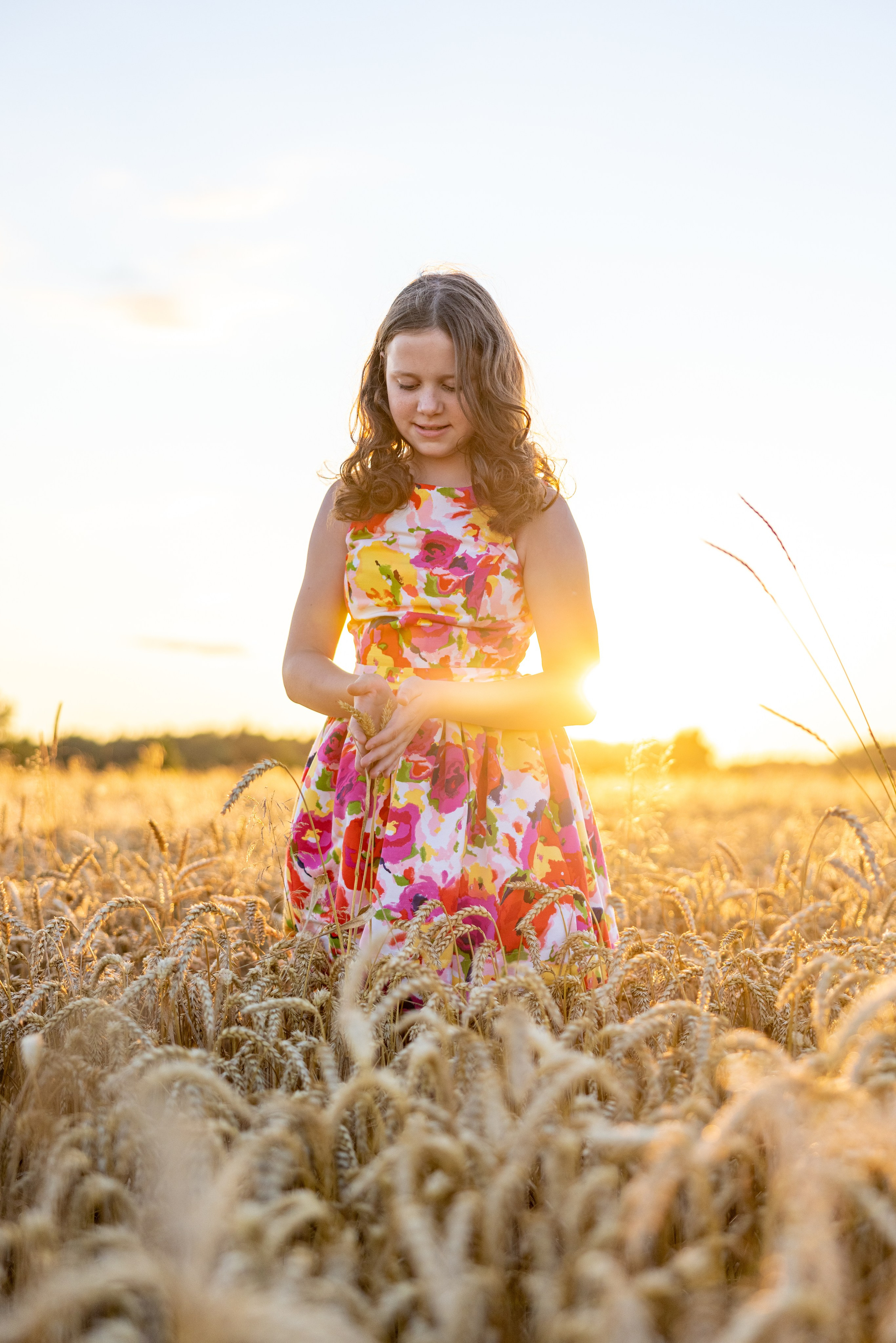 В пшеничном поле на закате. Фотограф в Туле Крупский АнДРей. Фотостудия «КАДР71» в Туле