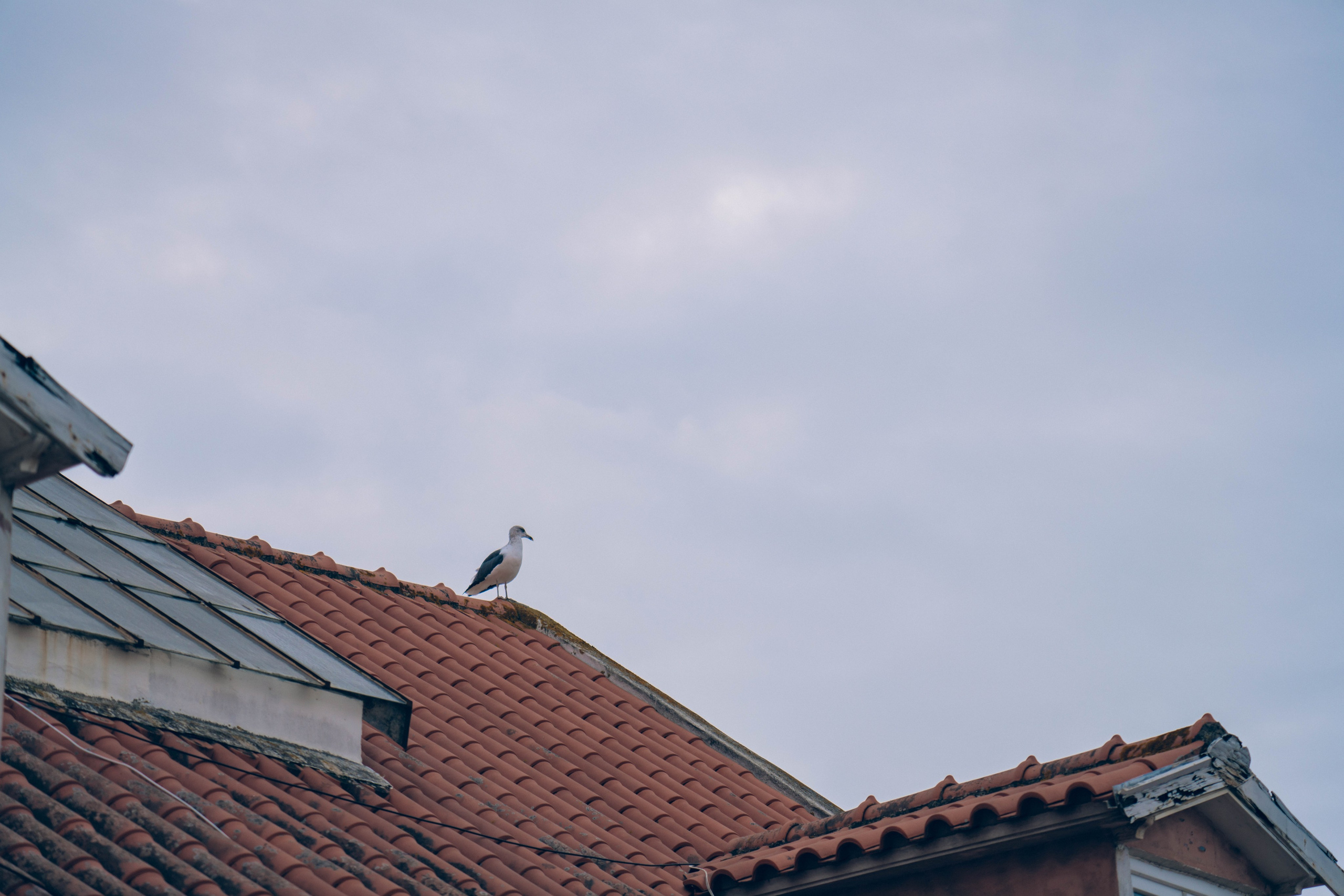 Португалия. Фотографирую для себя, своей семьи и друзей!