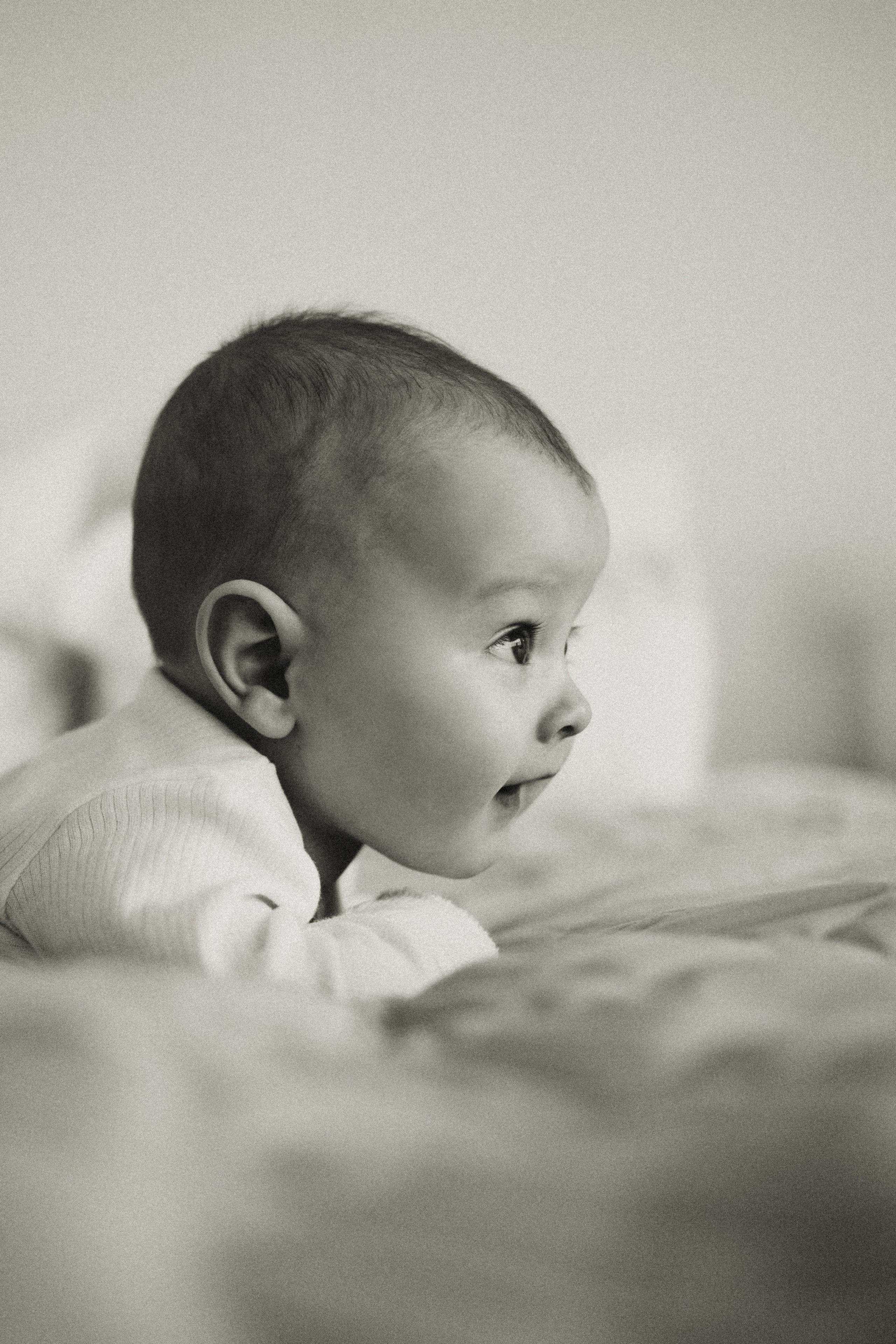 Алина, Паша, Тимофей и Матвей. Главная