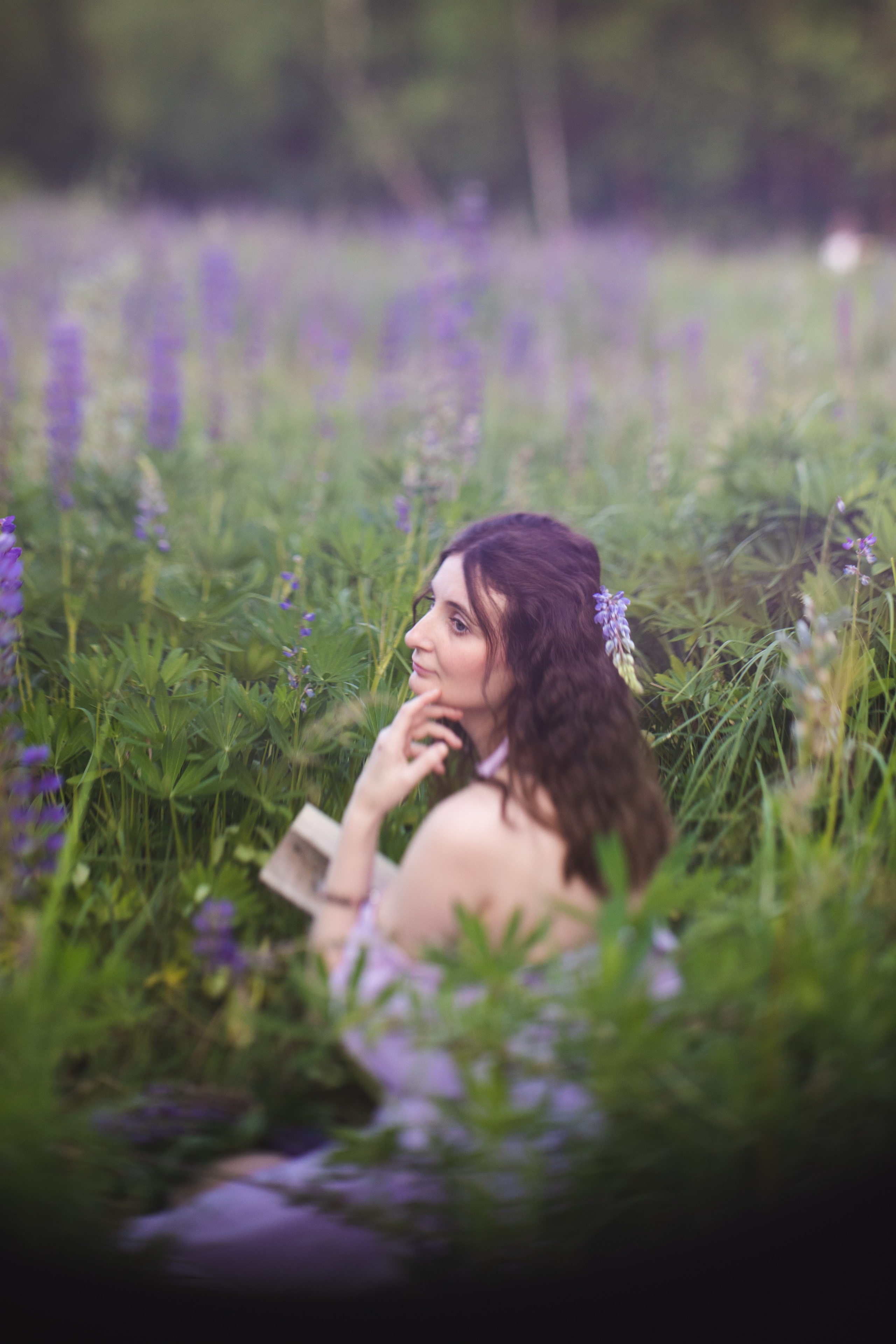 Люпиновое поле. Юлия Башкатова, сказочный фотограф, Москва