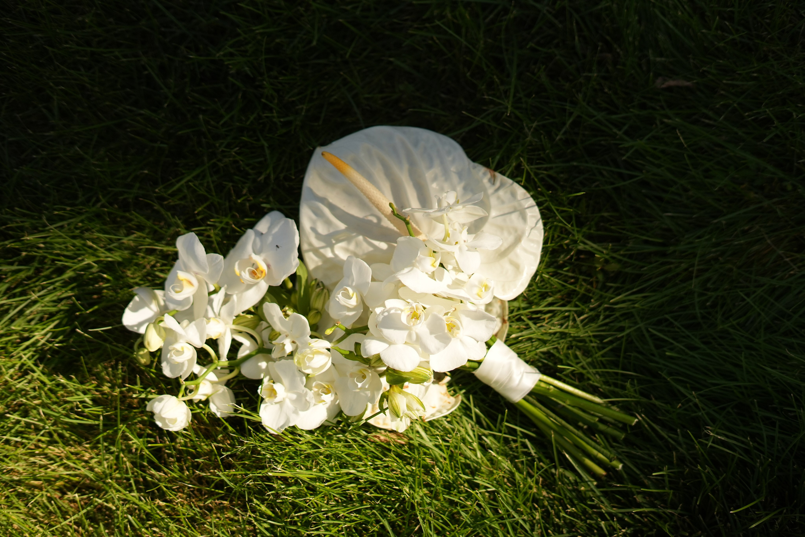 Максим + Ирина. Фотограф Волгоград Анастасия Ли