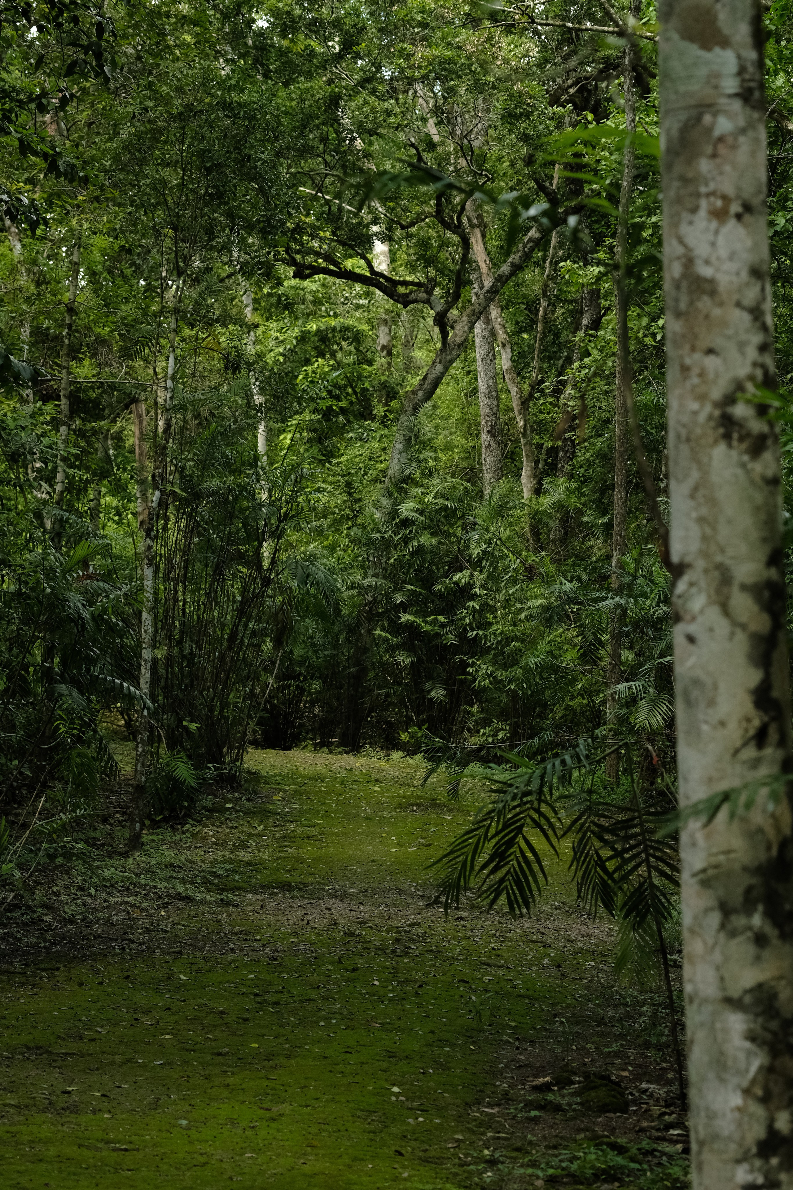 Documentary. Margarita Rodionova — a contemporary lens-based artist currently working in Cancun, Mexico